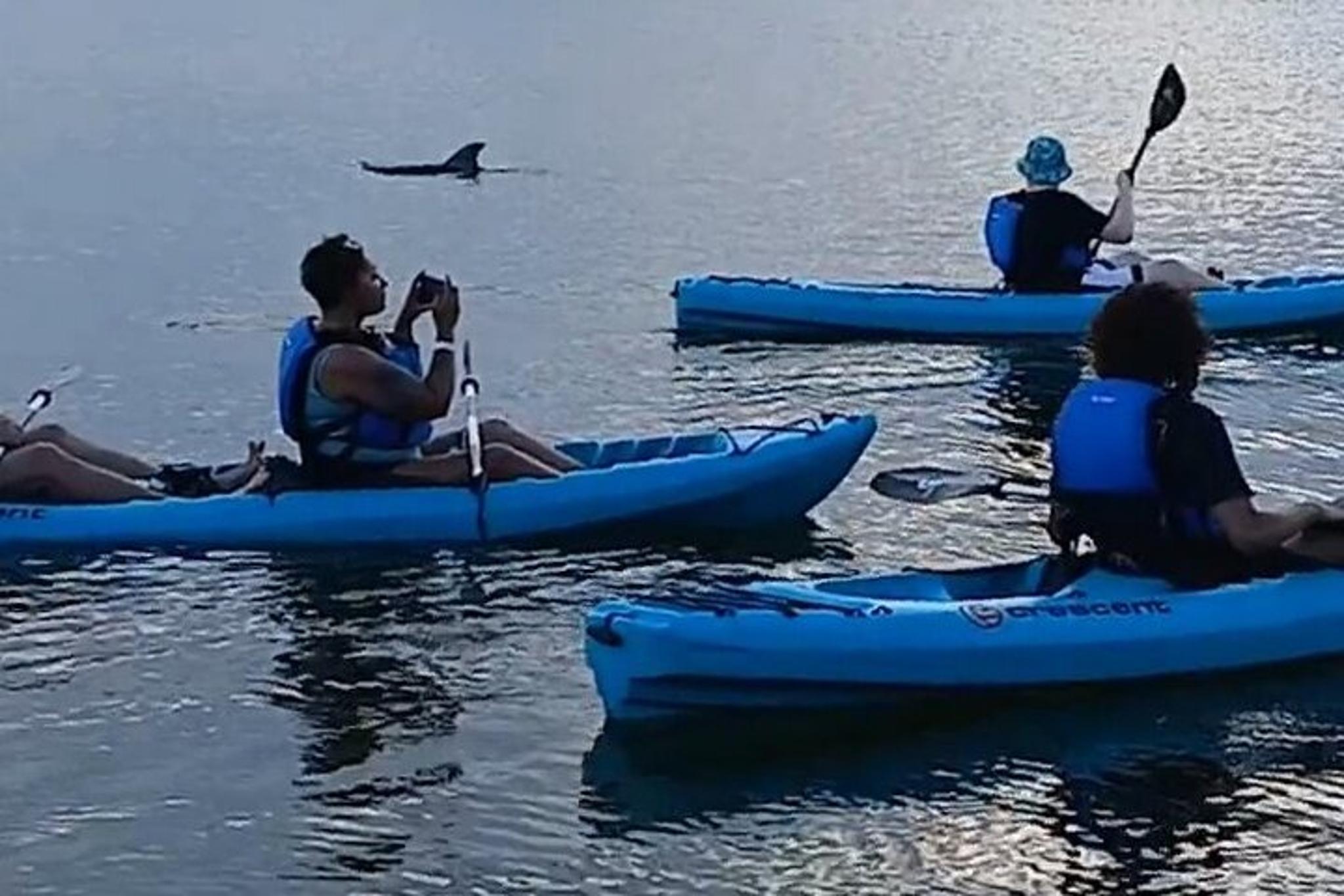 Cocoa Beach Kayak Tour with Dolphins and Manatees - Image 5