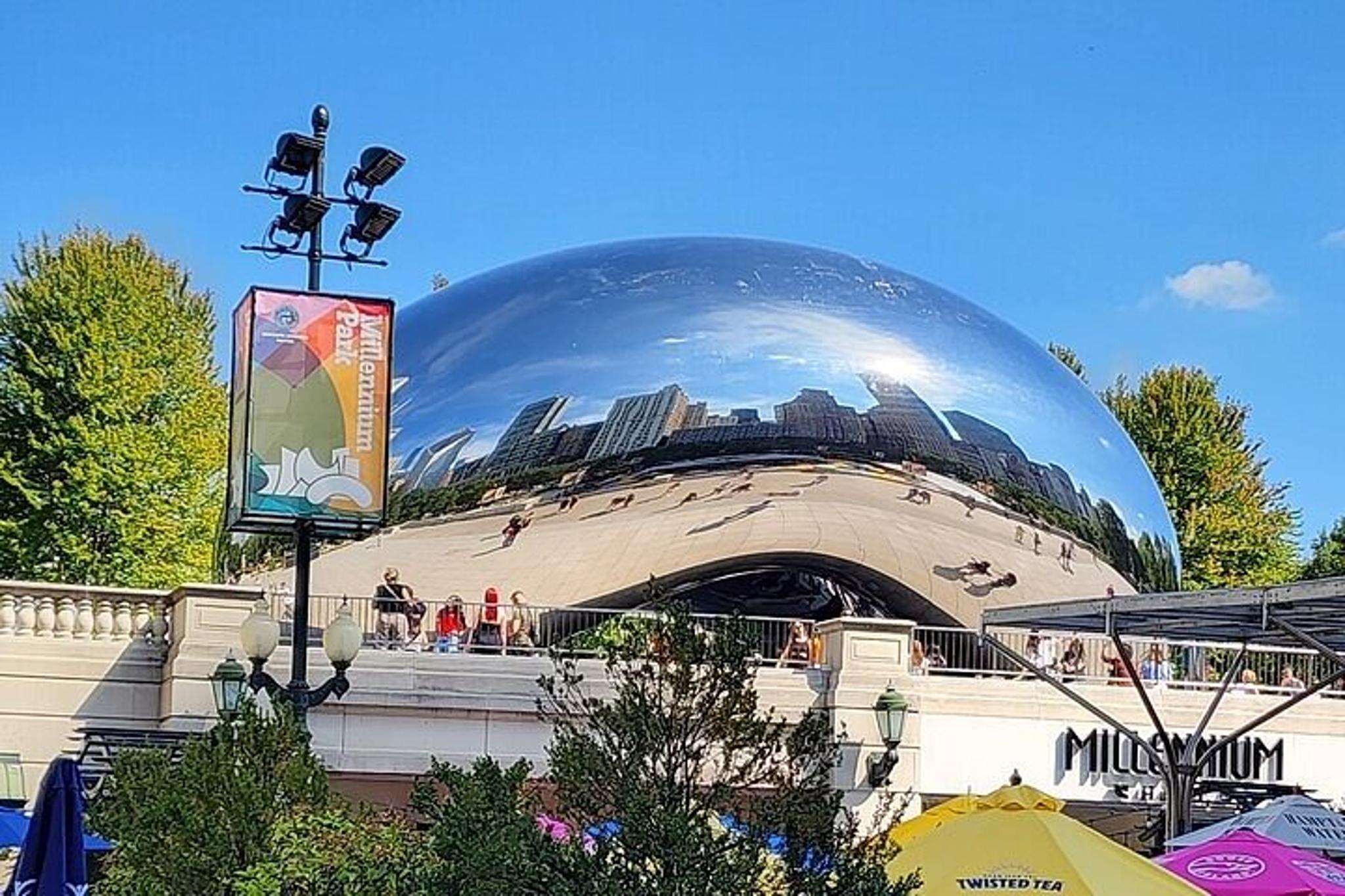 Chicago City Minibus Tour - Image 4