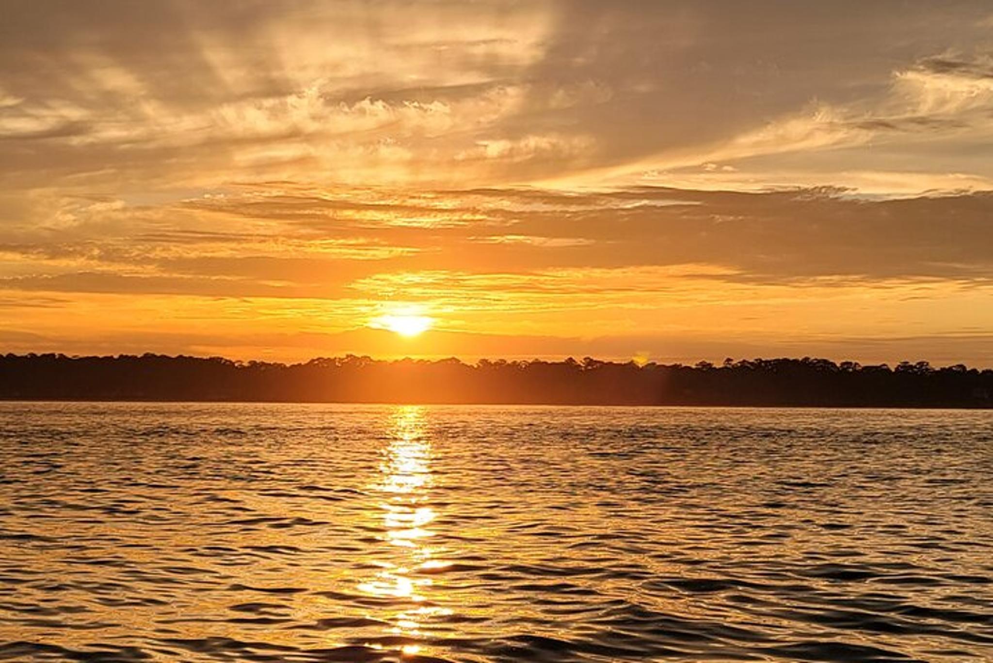 Hilton Head Island Dolphin Boat Tour - Image 4