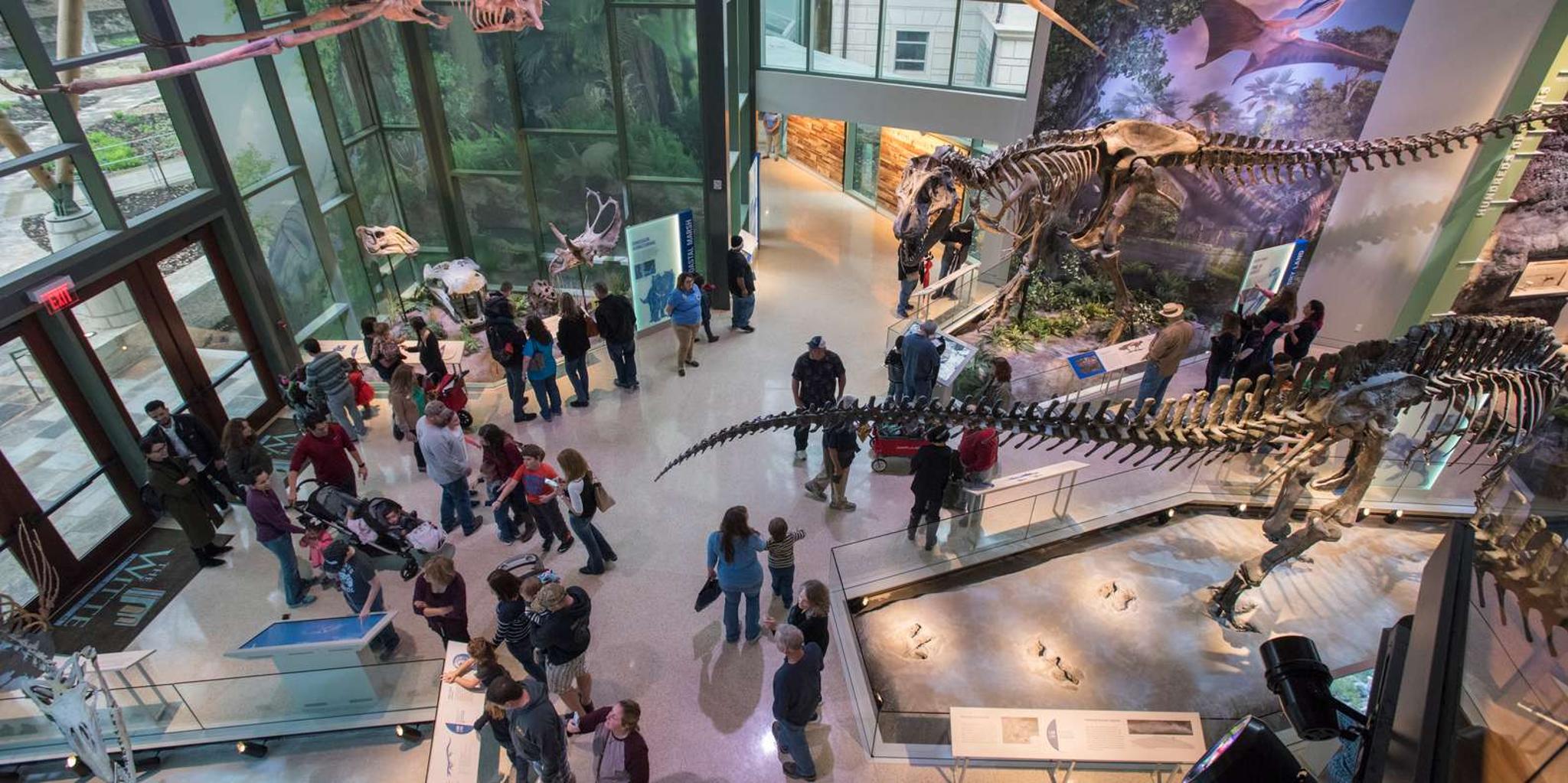 San Antonio Witte Museum Admission - Image 1