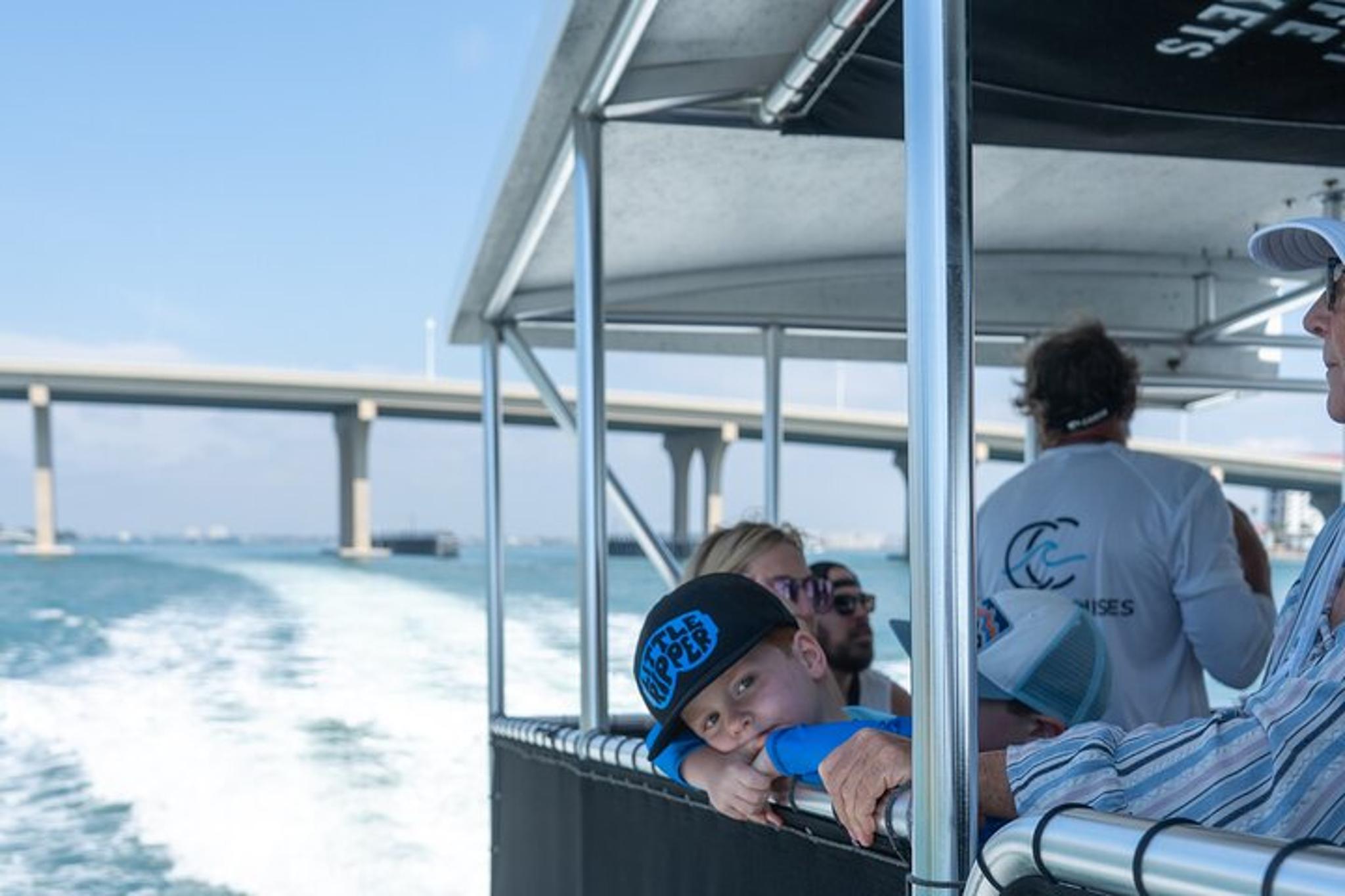 St. Pete Dolphin Watching Cruise 90 Min
