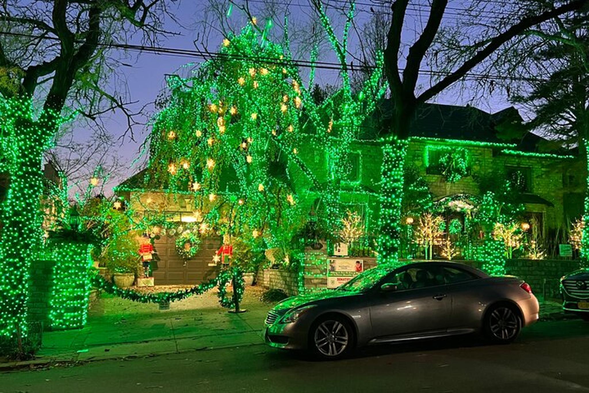 New York City Christmas Tour Dyker Heights 6 hr - Image 4