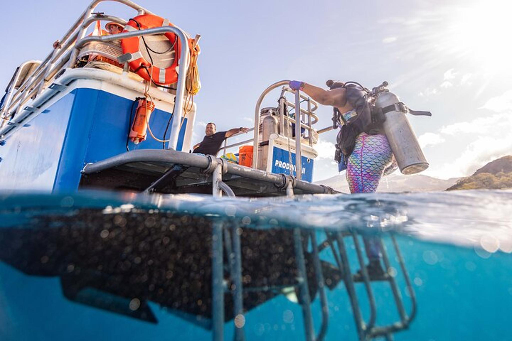 Maui Scuba Diving at Molokini Crater 3 hr - Image 3