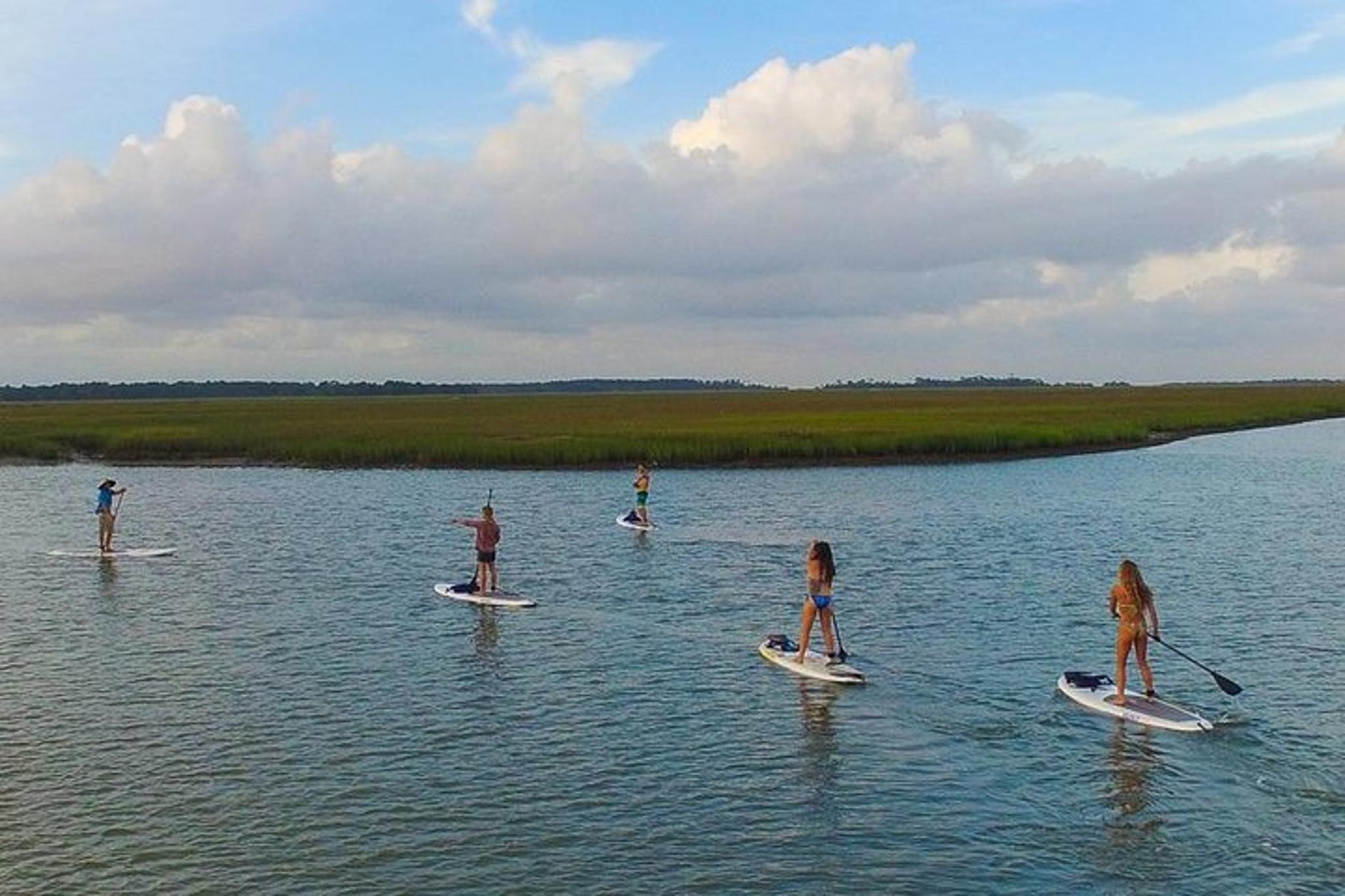 Charleston Stand-Up Paddleboard Eco Tour - Image 4