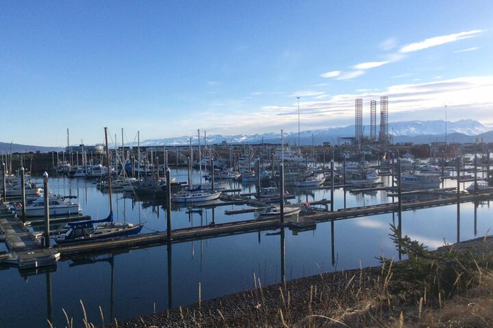 Whittier to Anchorage Wildlife Sightseeing Tour - Image 4