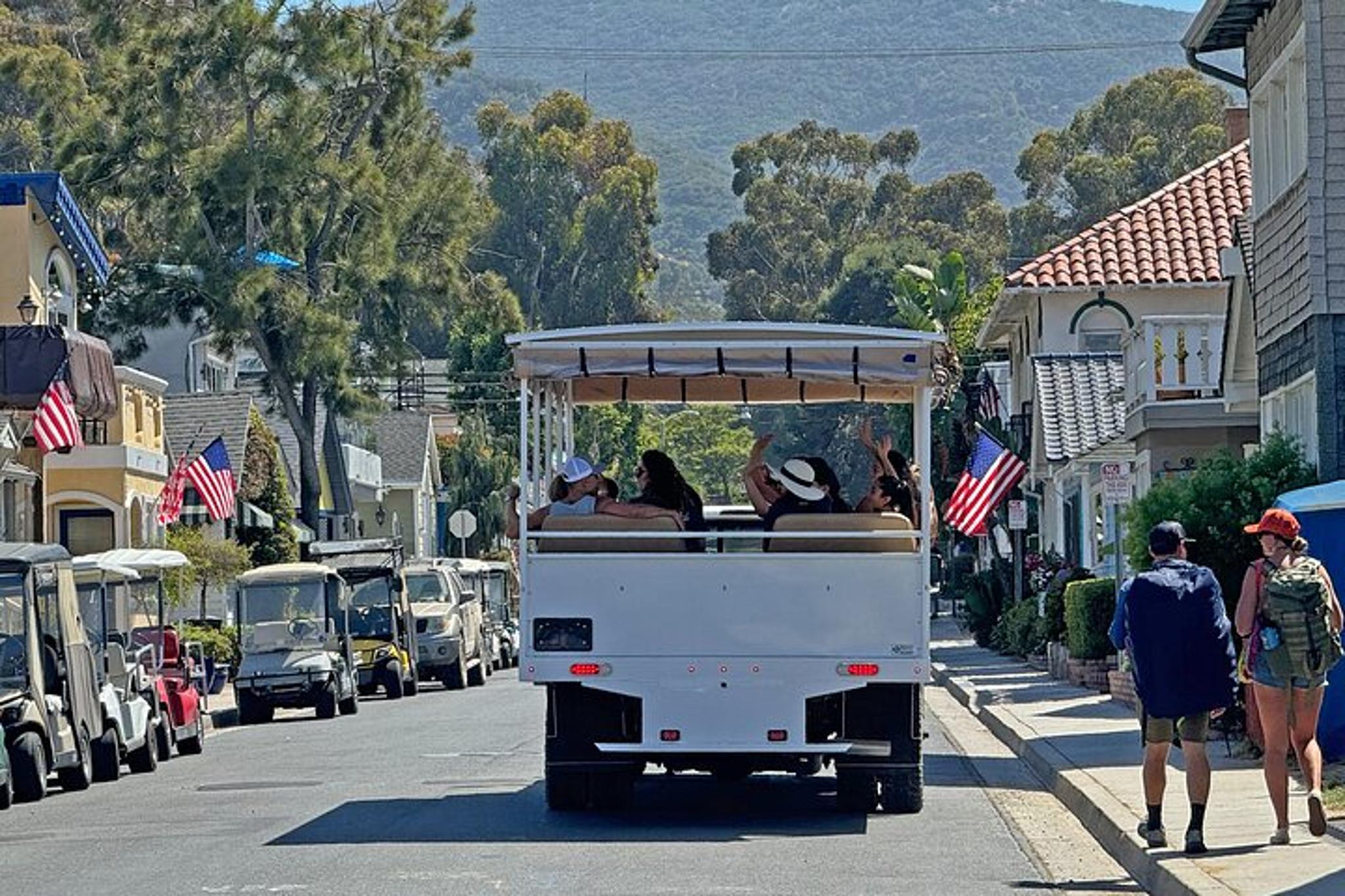 Avalon City and Scenic Mount Ada Tour - Image 6