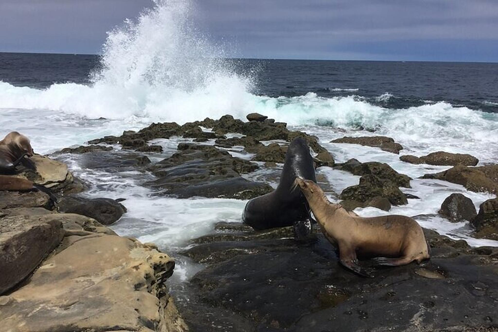 San Diego Private Tour from Encinitas 7.5 hr - Image 3