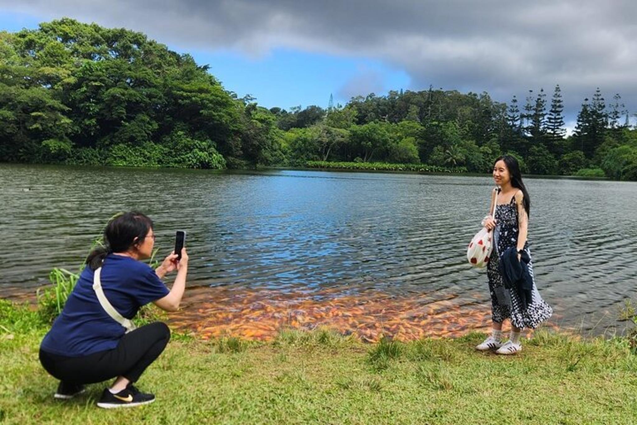 Waikiki Oahu Custom Tour 9 hr - Image 3