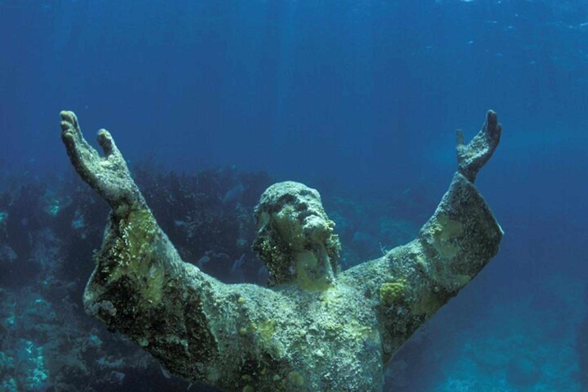 Key Largo Catamaran Snorkel Adventure - Image 6