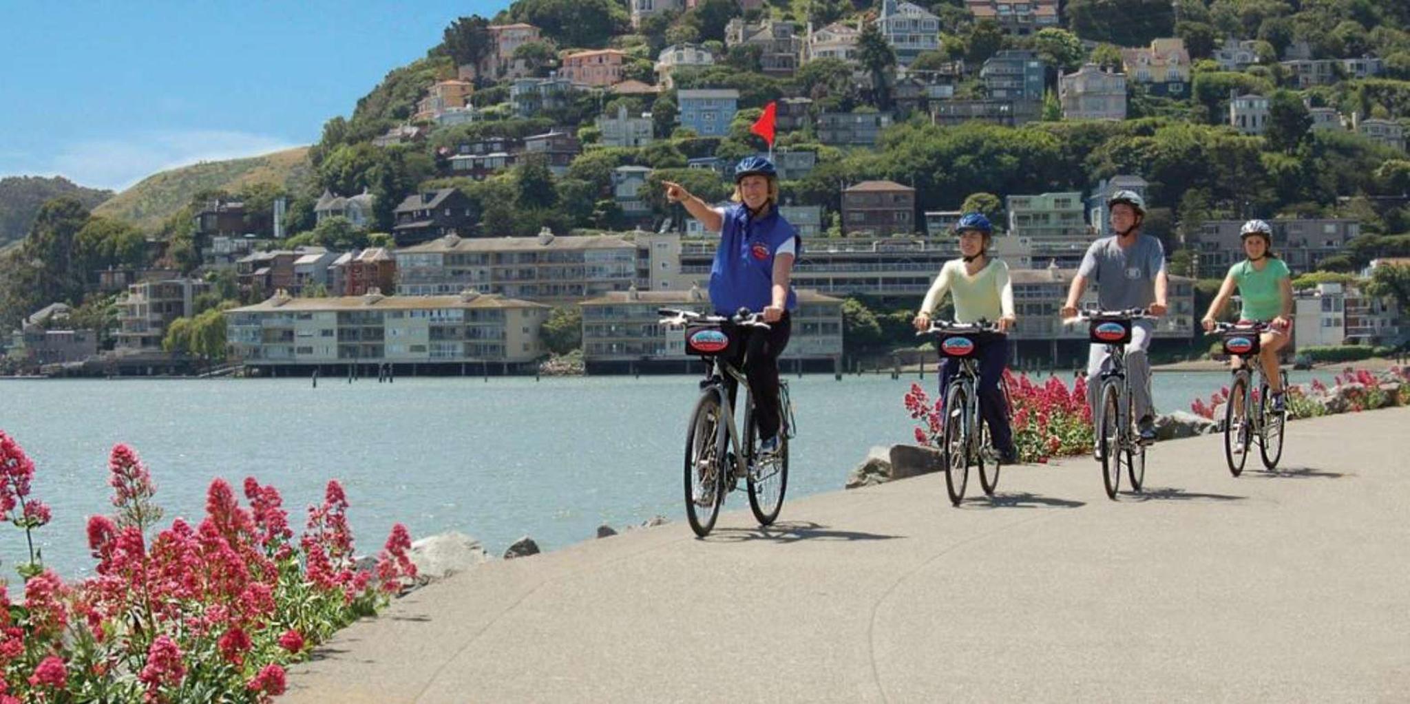 San Francisco Bike Tour with Muir Woods and Sausalito - Image 3
