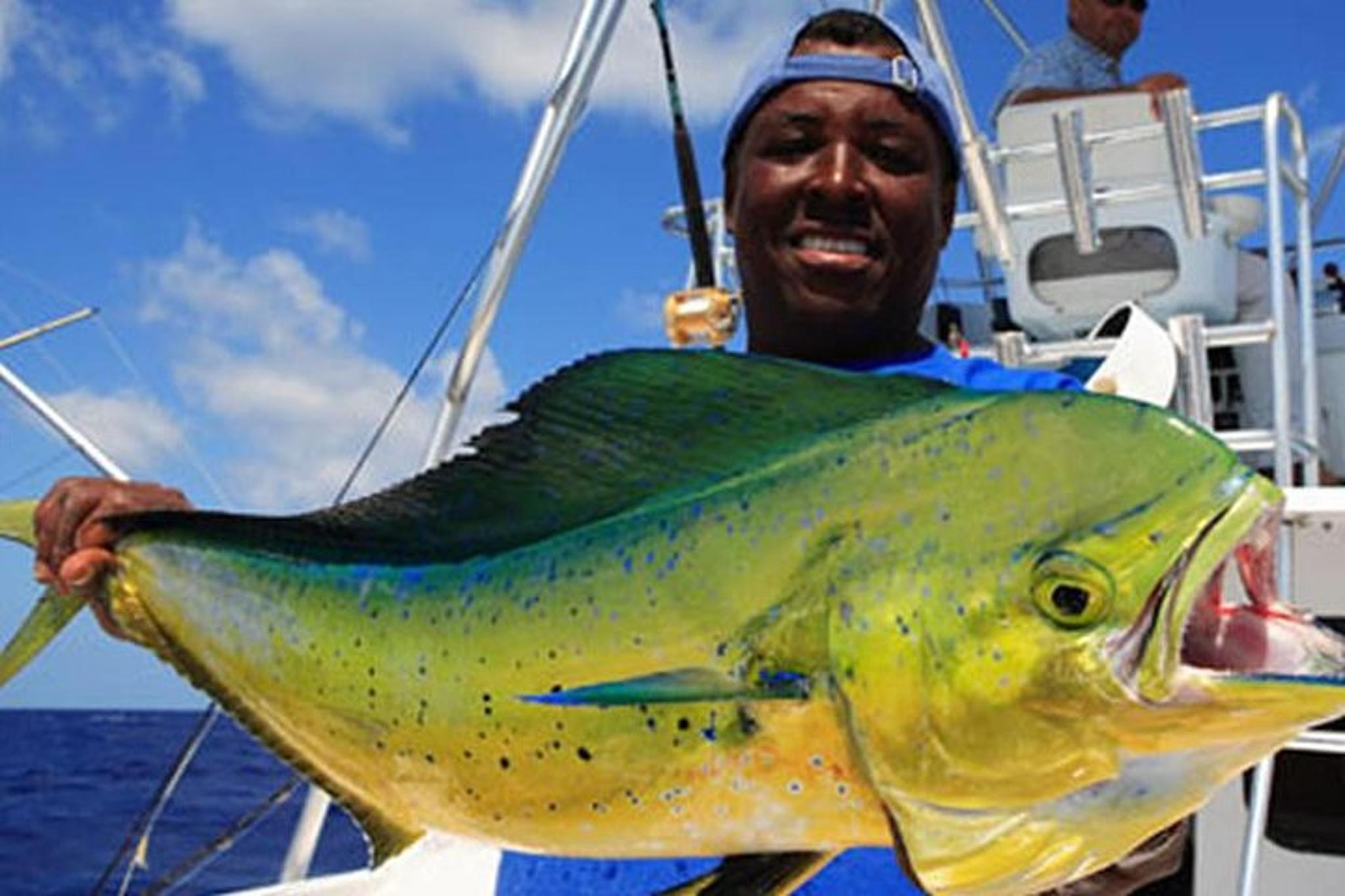Miami Deep Sea Fishing Charter - Image 4