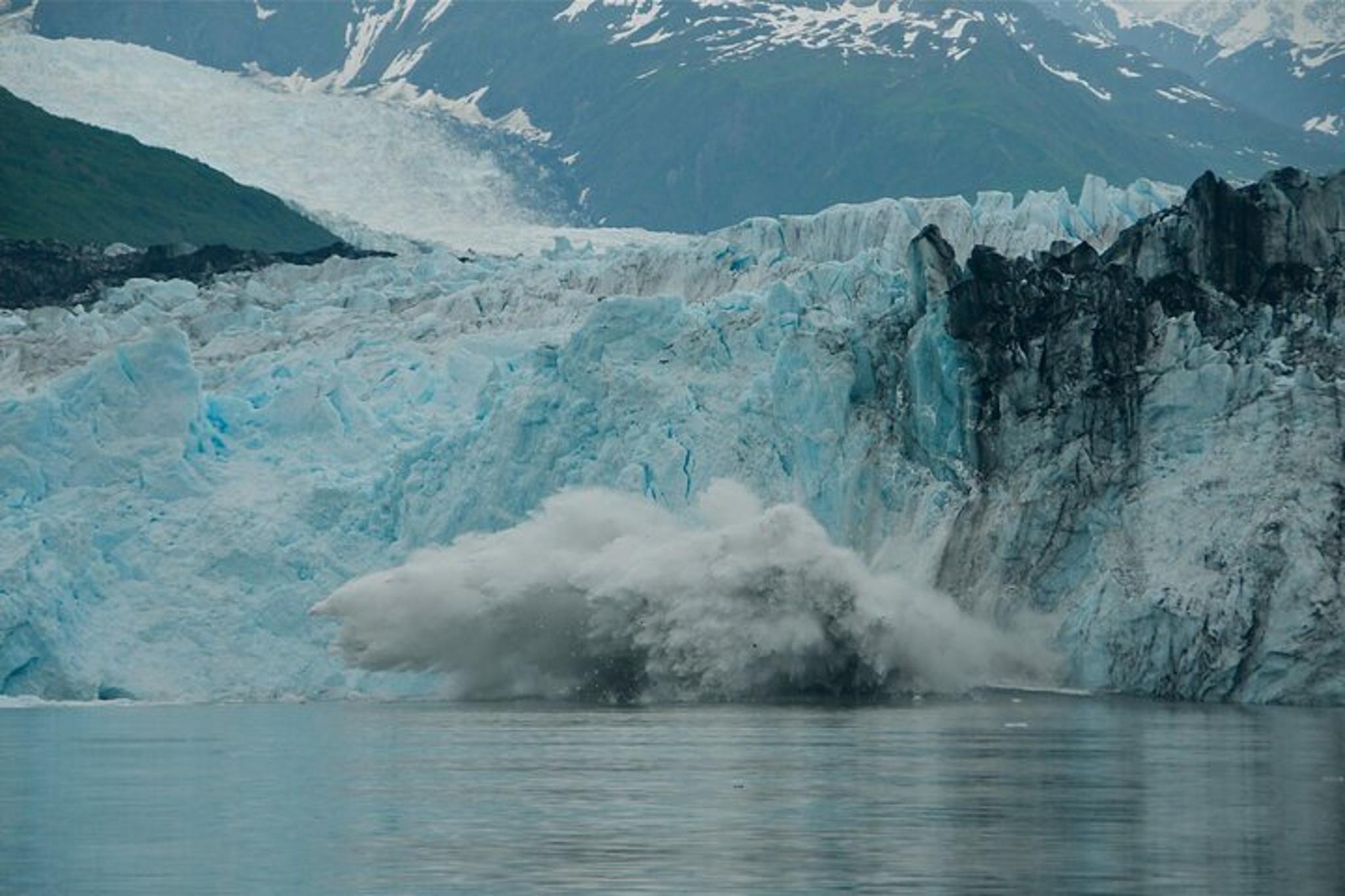 Anchorage Glacier Cruise and Coach Tour - Image 3