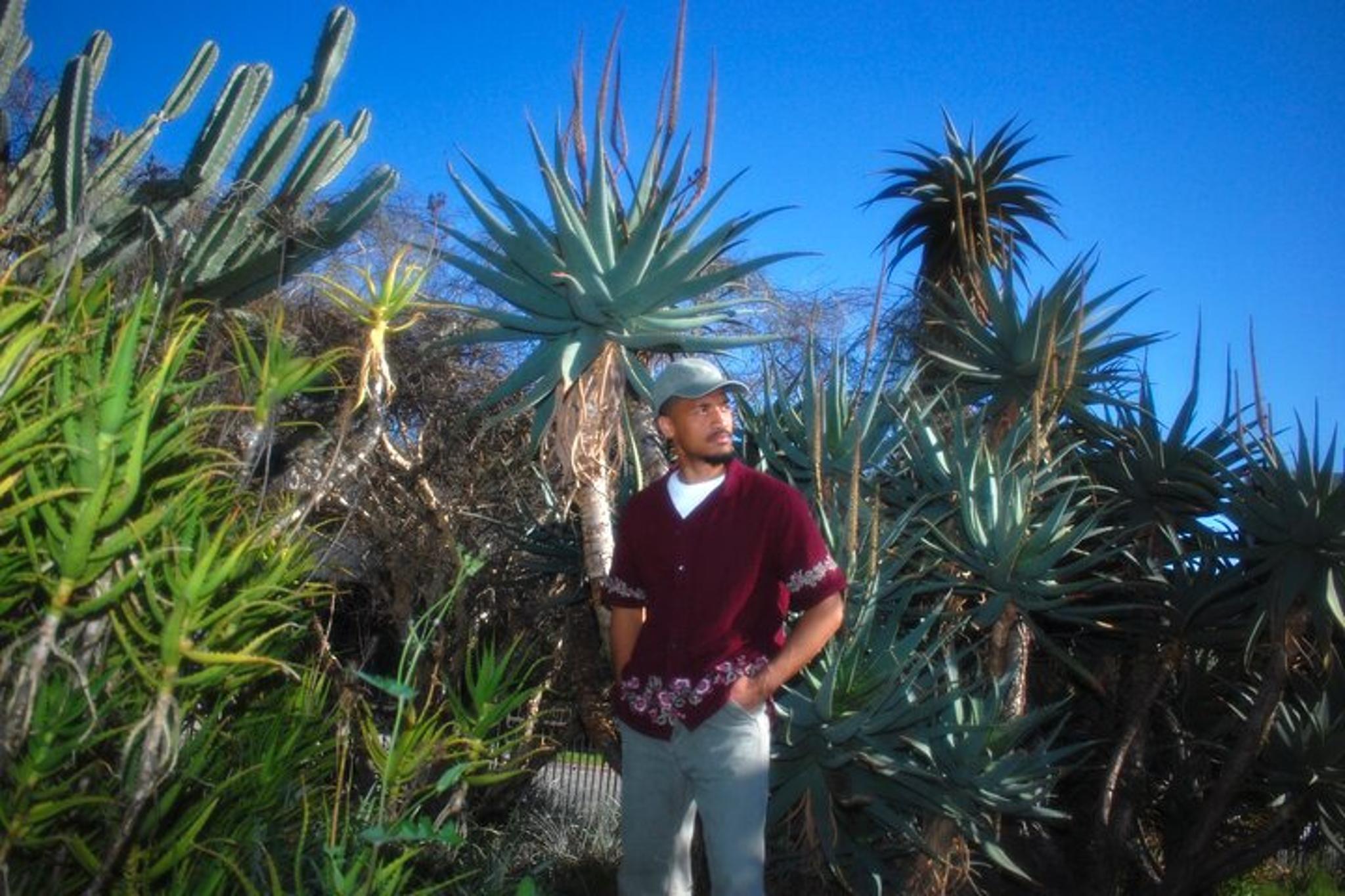 Los Angeles Photoshoot at Scenic Beaches and Parks - Image 4