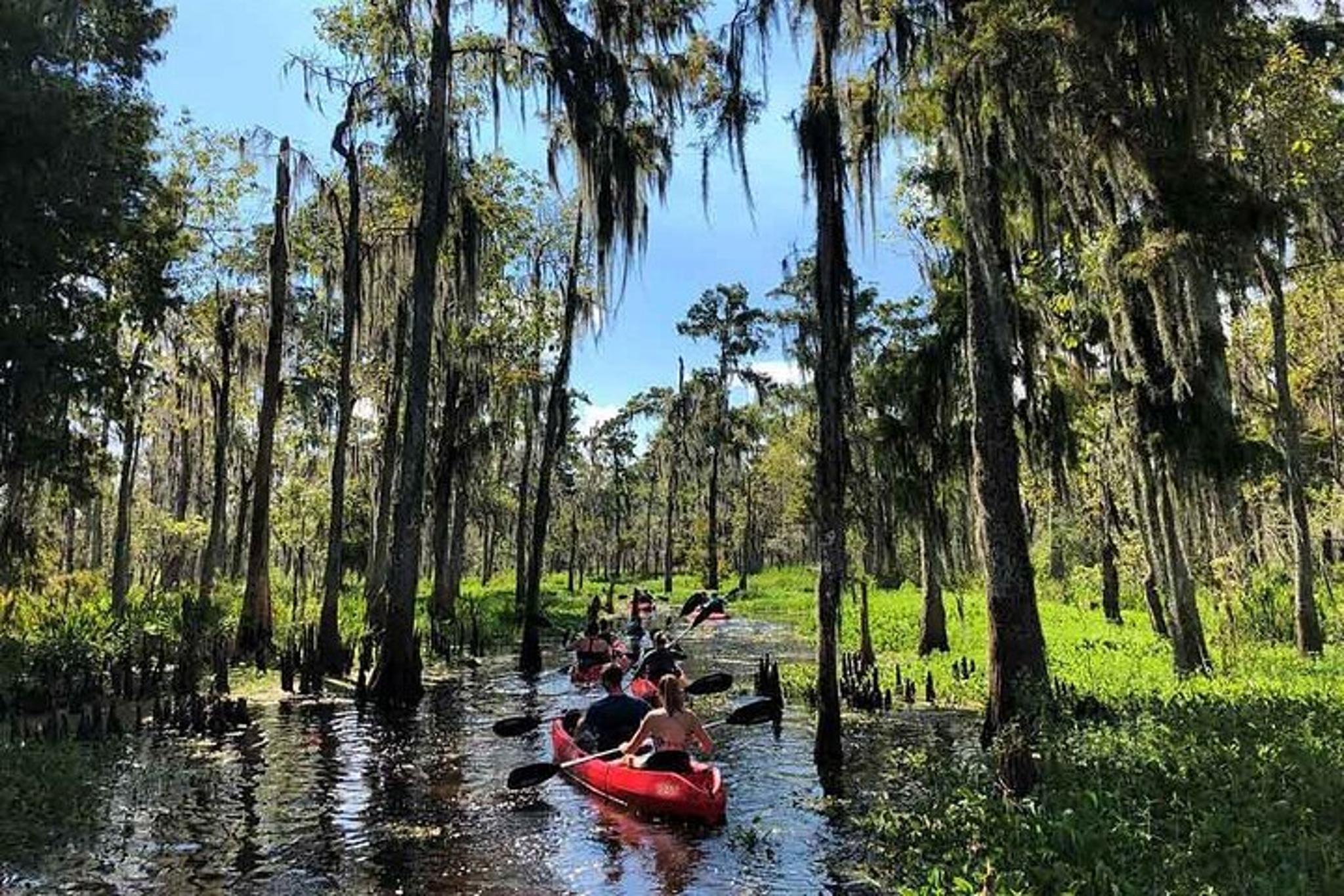 Manchac Swamp Kayak Tour with Pickup 4 hr - Image 3