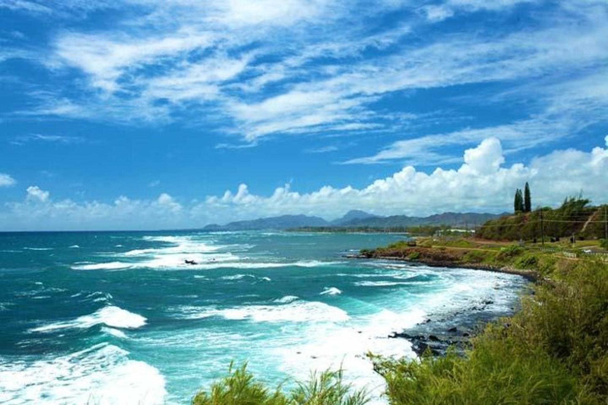 Kauai Private Tour of North & East Shores - Image 2