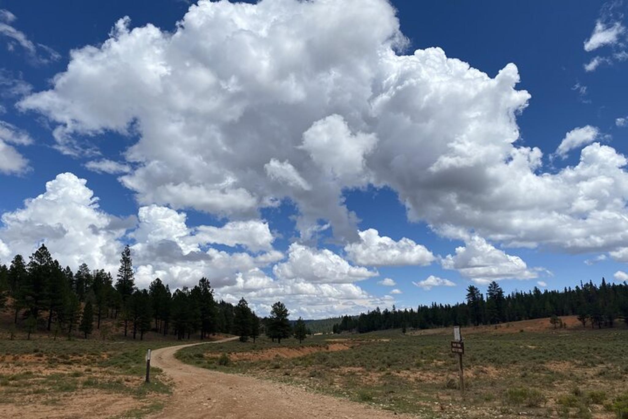 Bryce ATV Rental Adventure 4 hr - Image 6