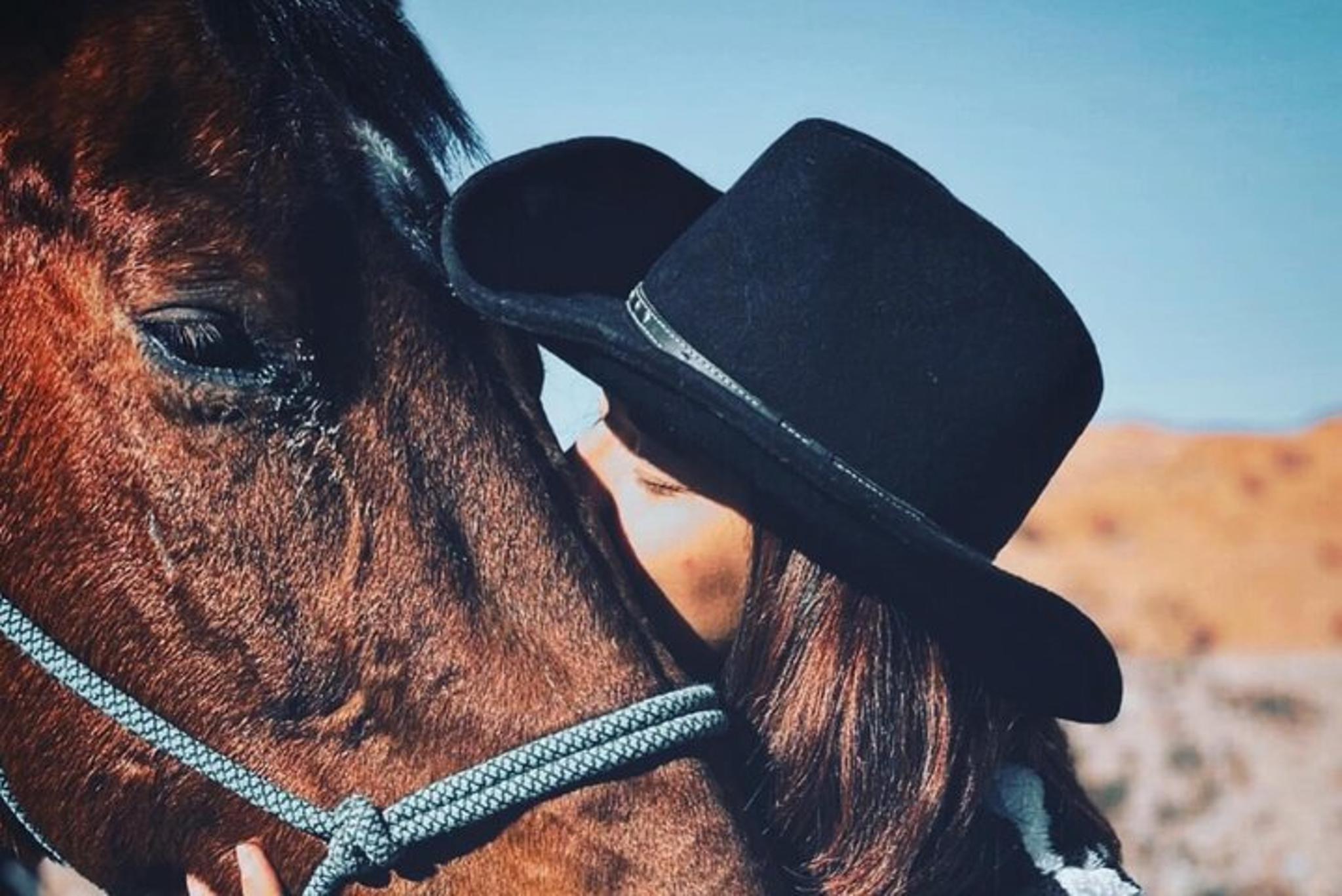 Las Vegas Horseback Ride with BBQ Dinner - Image 4