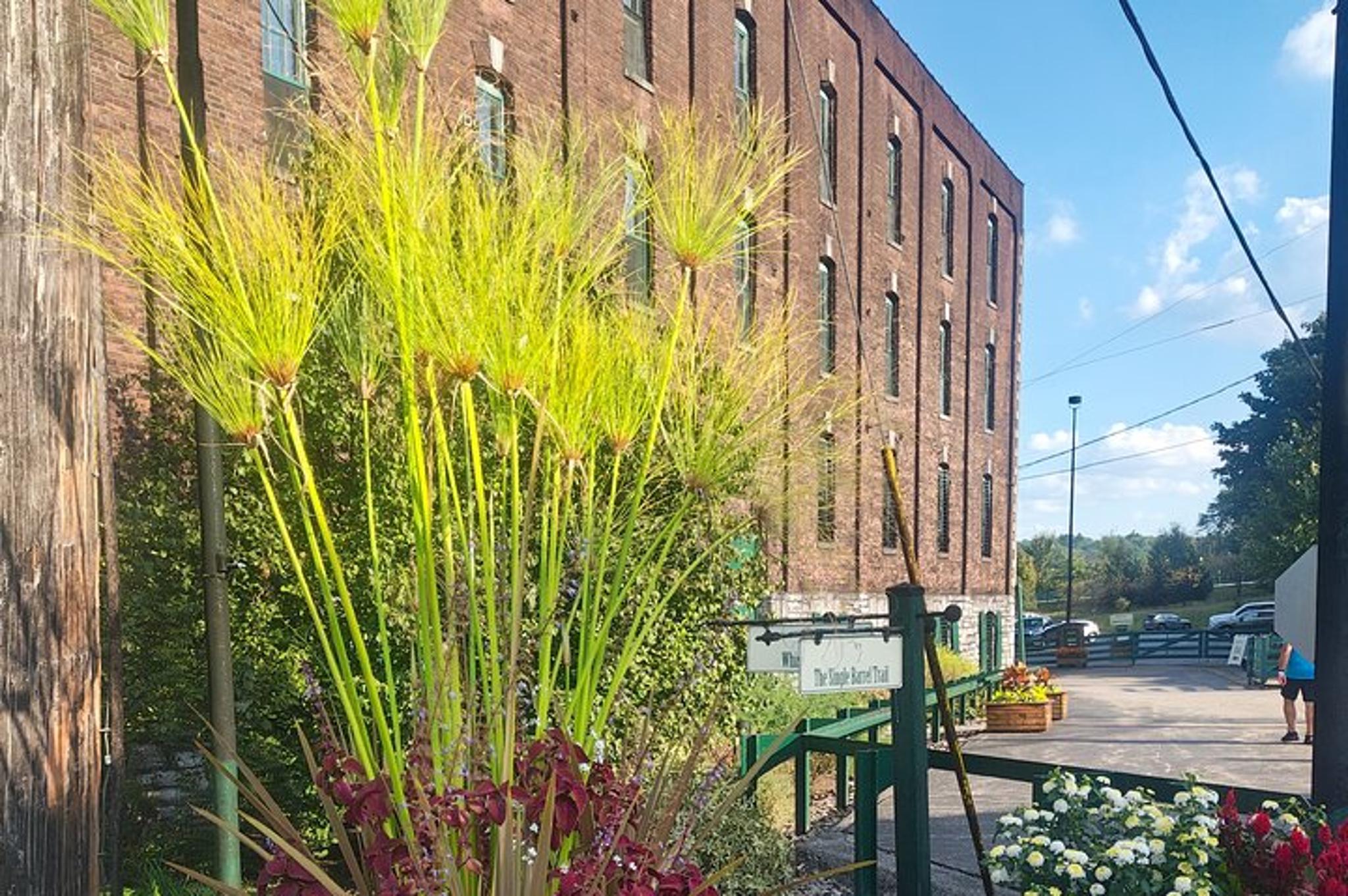 Louisville Bourbon Trail Experience - Image 6