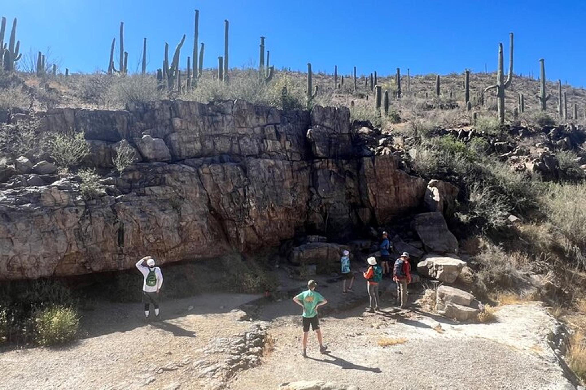 Tucson Sonoran Desert Guided Hike