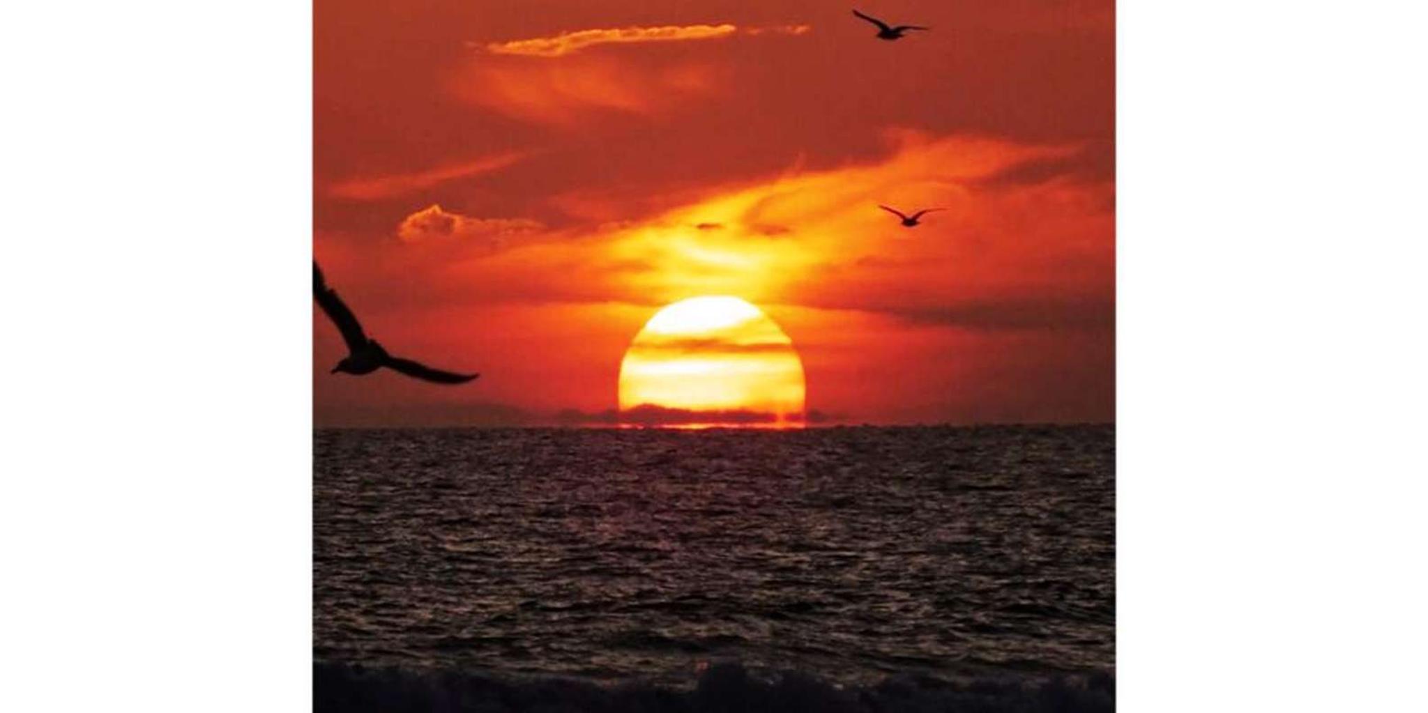 Newport Beach Sunset Cruise - Image 2