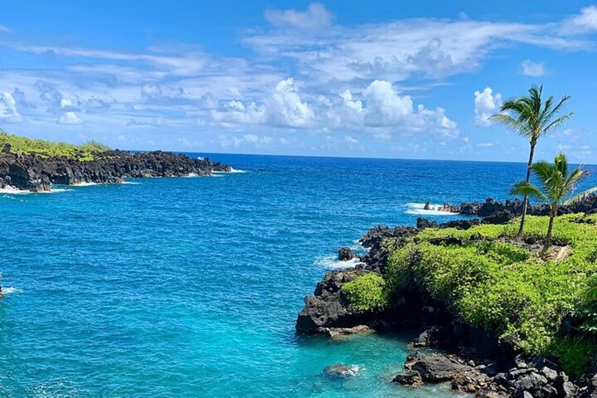 Hana Rainforest Tour - Image 1