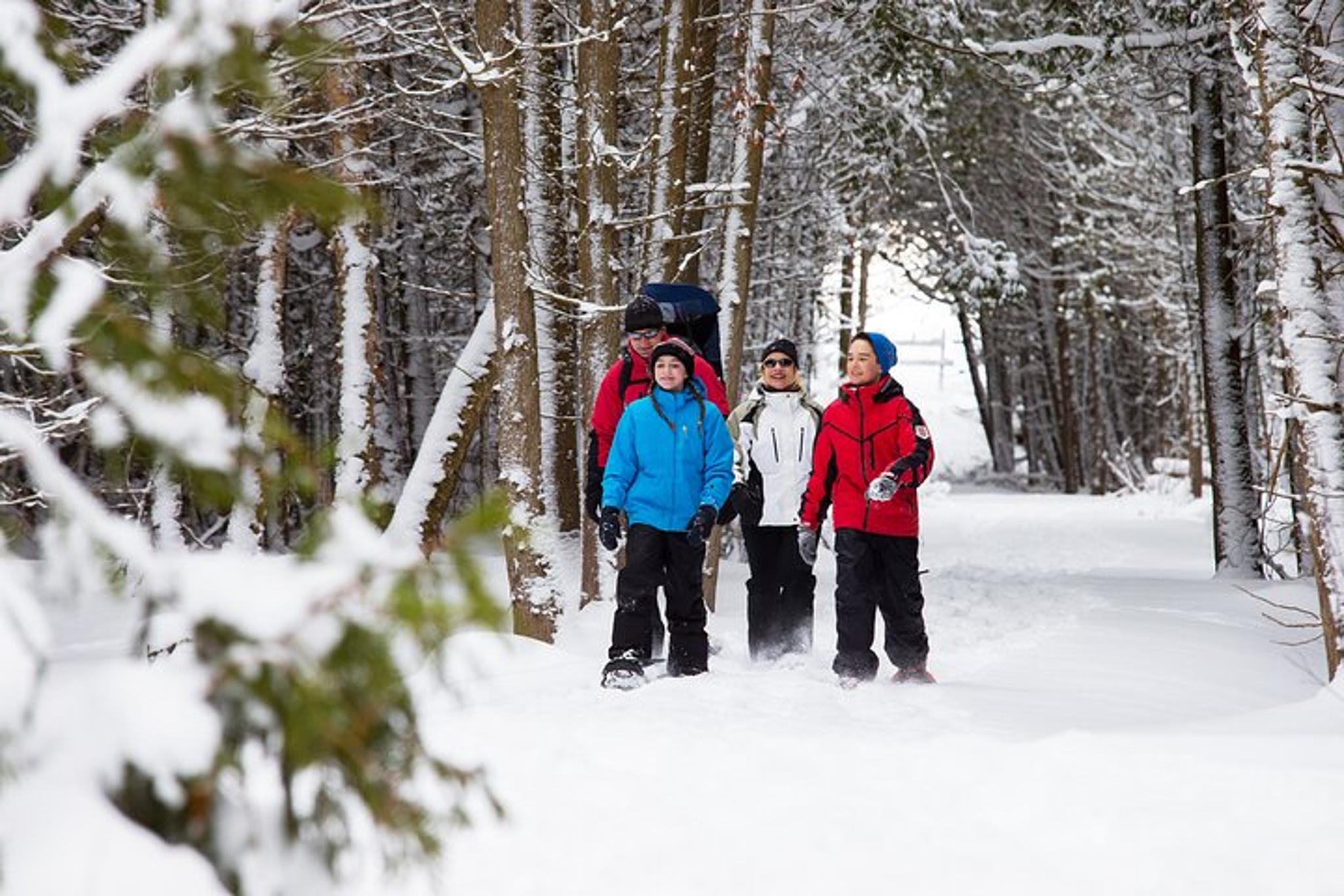 Lake Tahoe Snowshoe Tour - Image 5