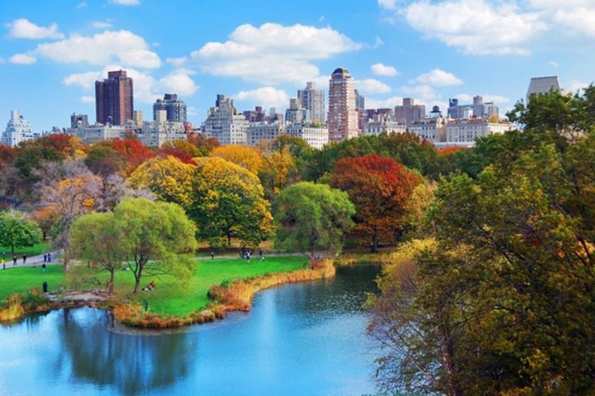 New York Central Park Walking Tour - Image 2