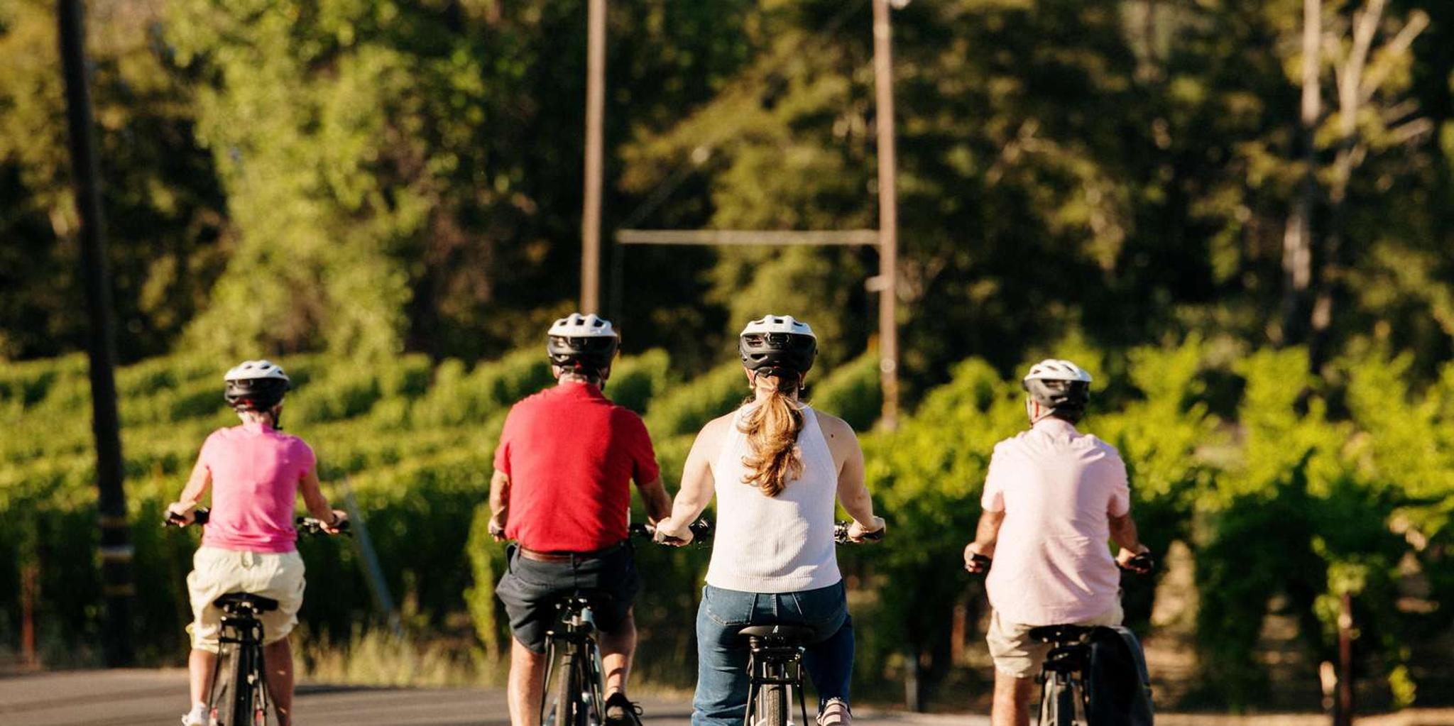 Healdsburg Electric Bike Wine Tour