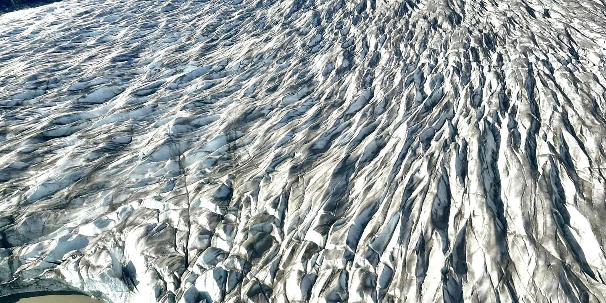 Juneau 5-Glacier Seaplane Tour - Image 3