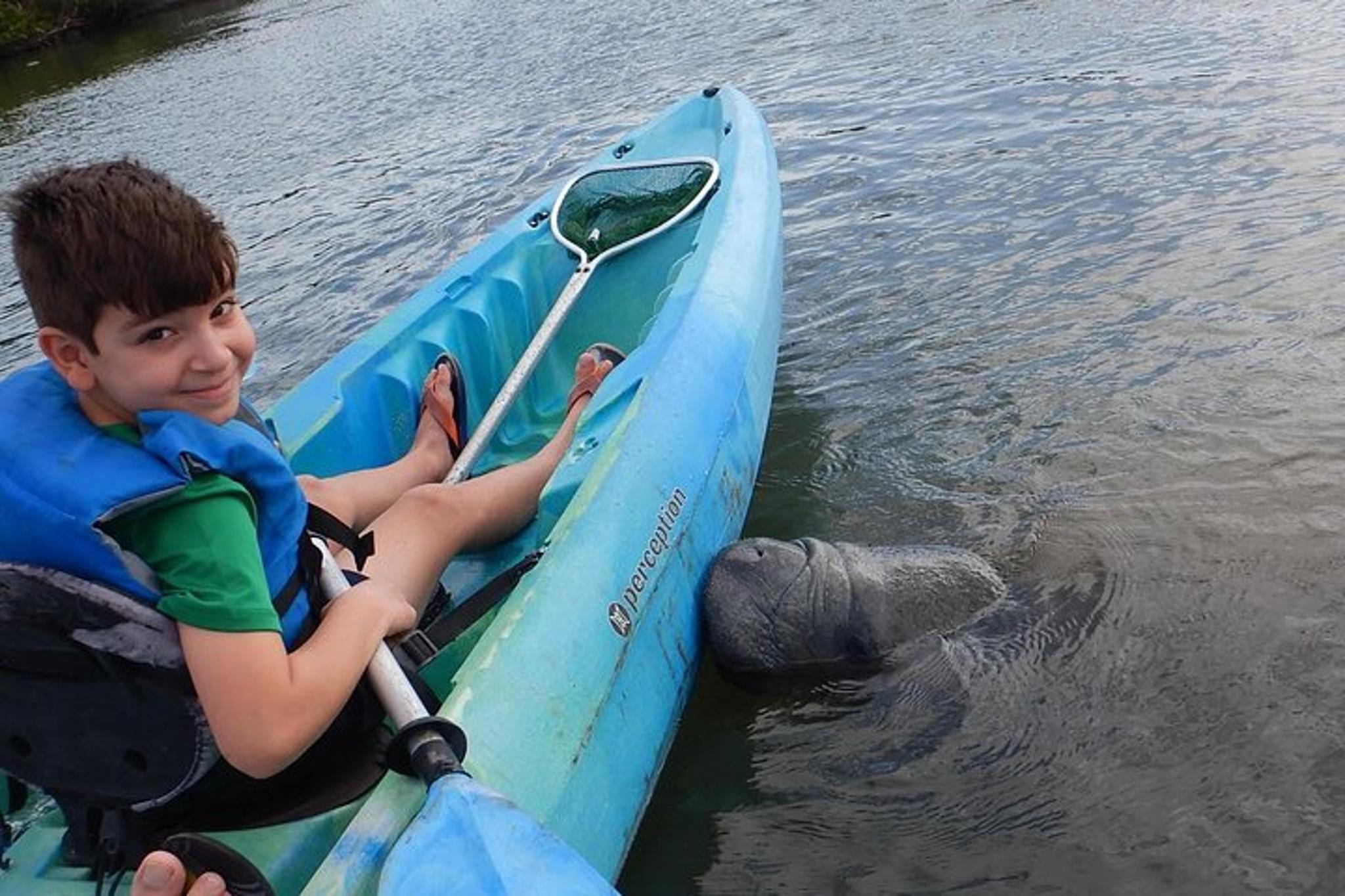 Titusville Manatee and Dolphin Kayak Tour