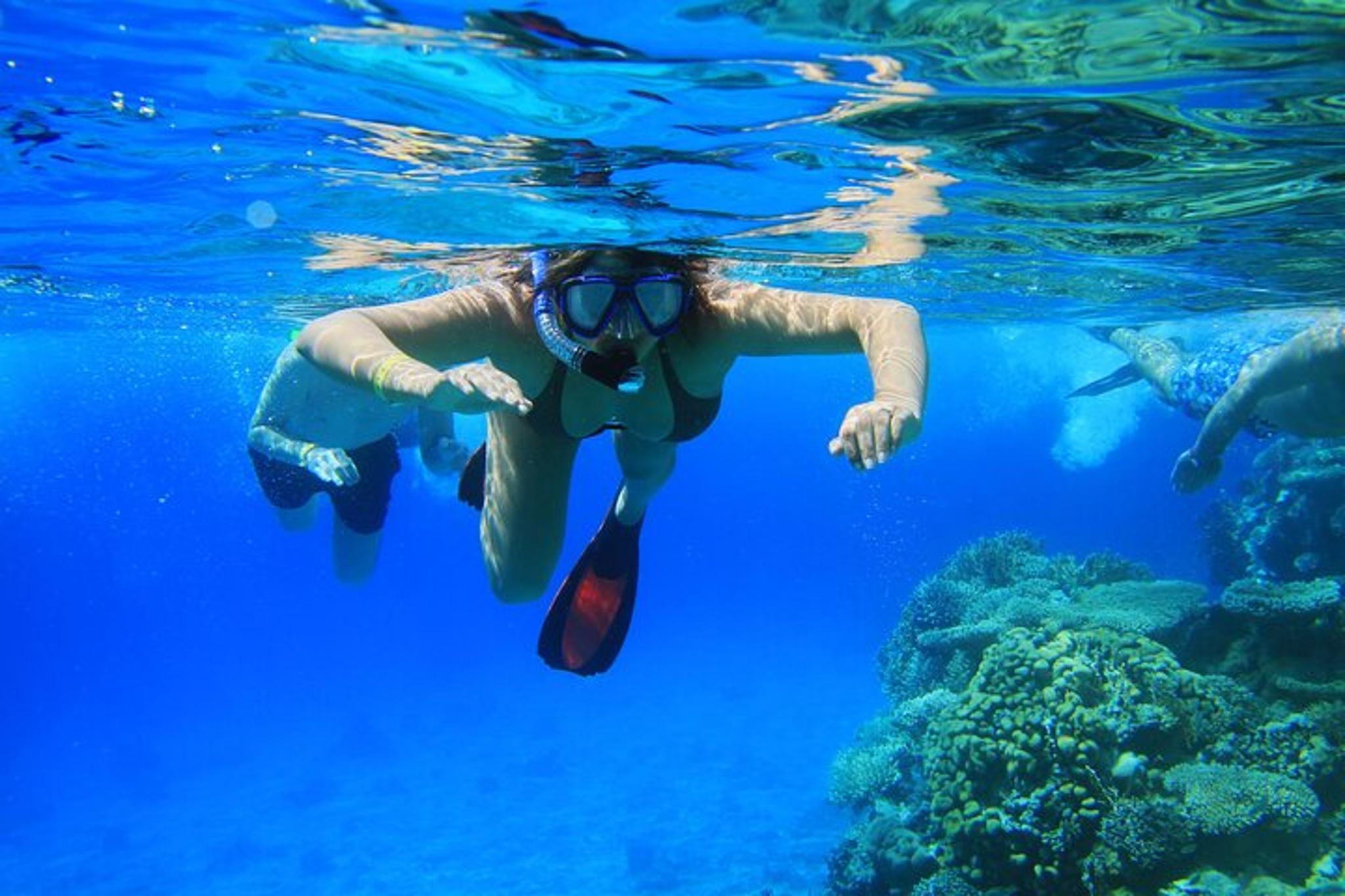 Key Largo Snorkeling Tour - Image 2