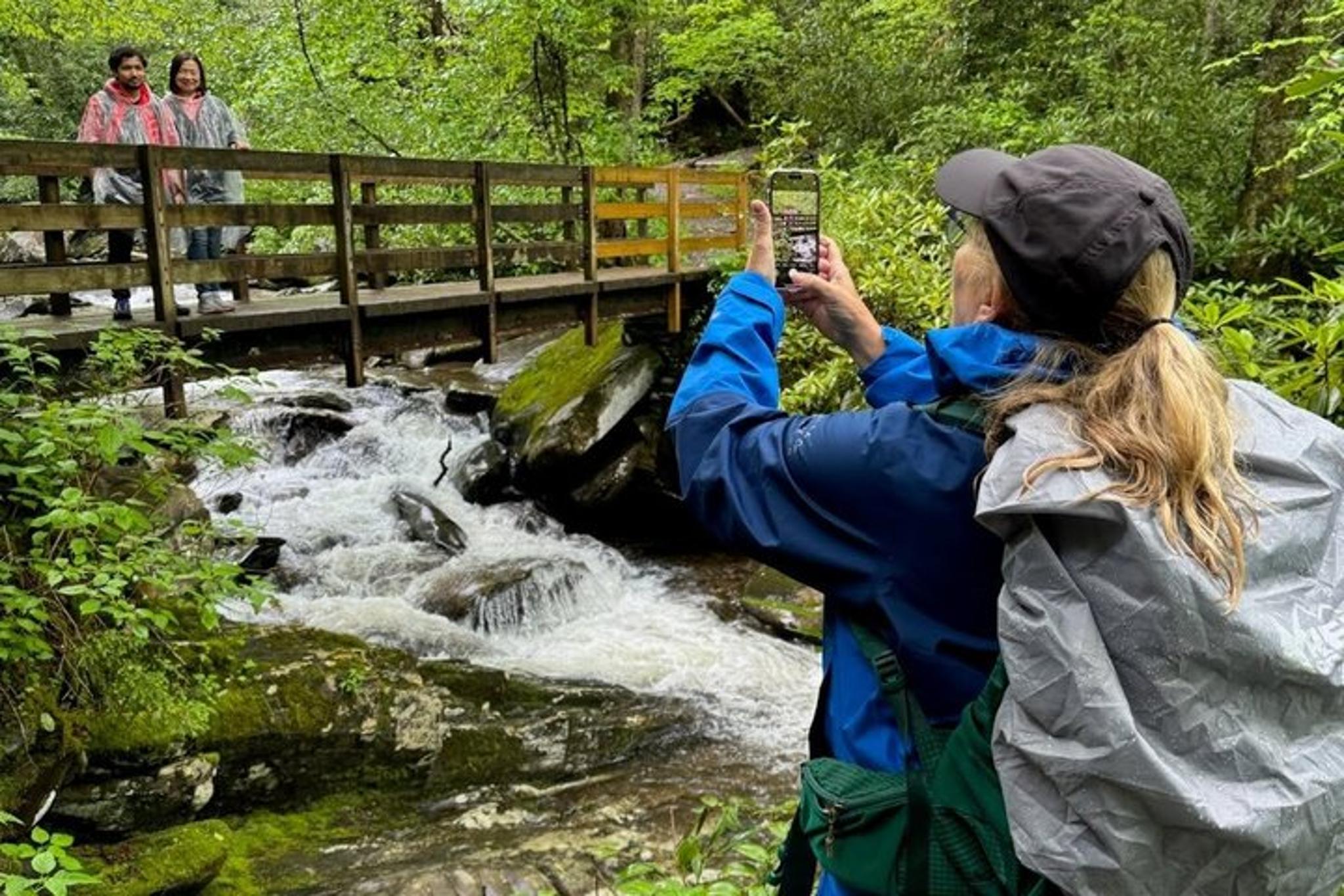 Smoky Mountains Hiking Tour Creekside and Forest 3 hr