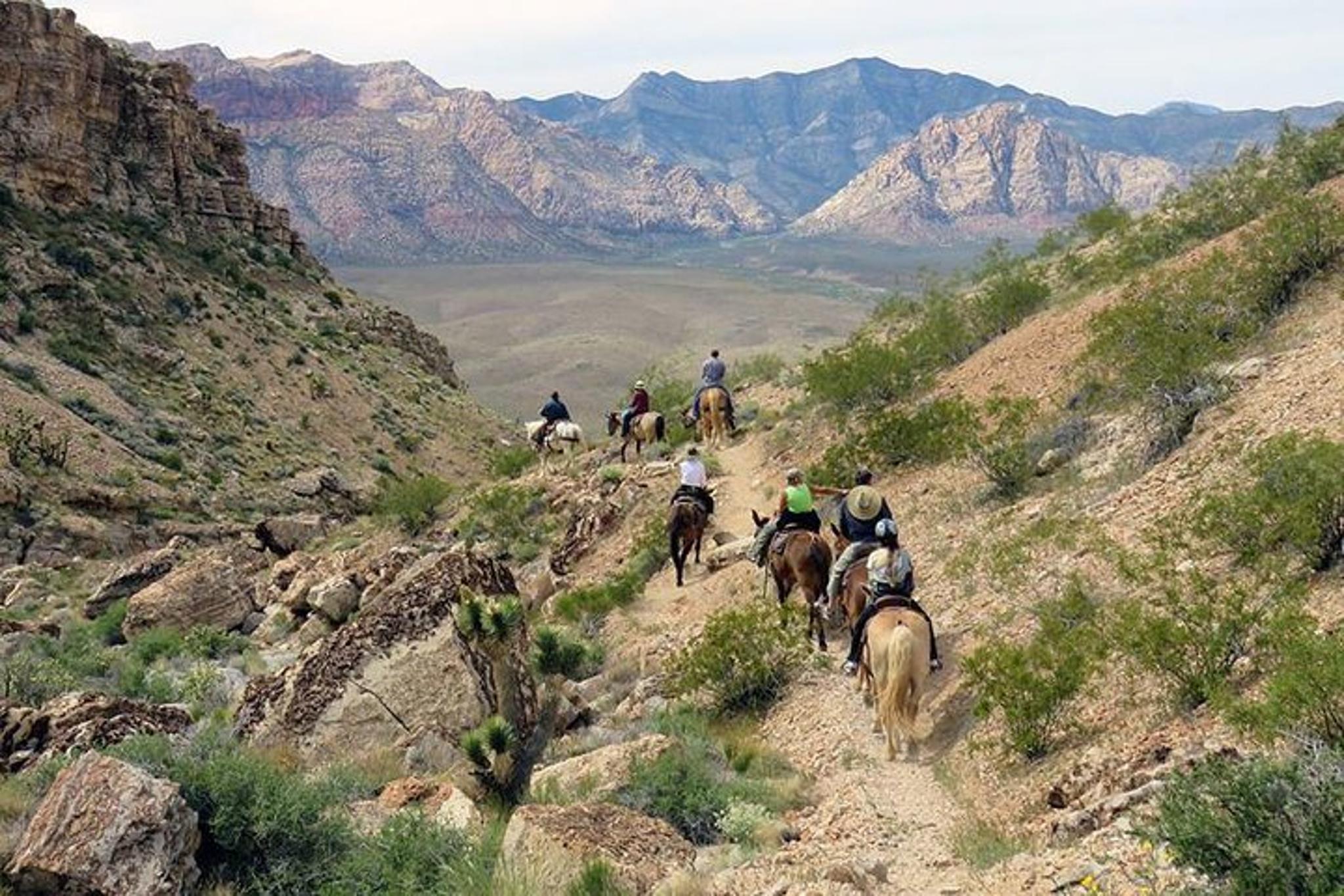 Las Vegas Horseback Riding in Red Rock Canyon 2 hr - Image 6