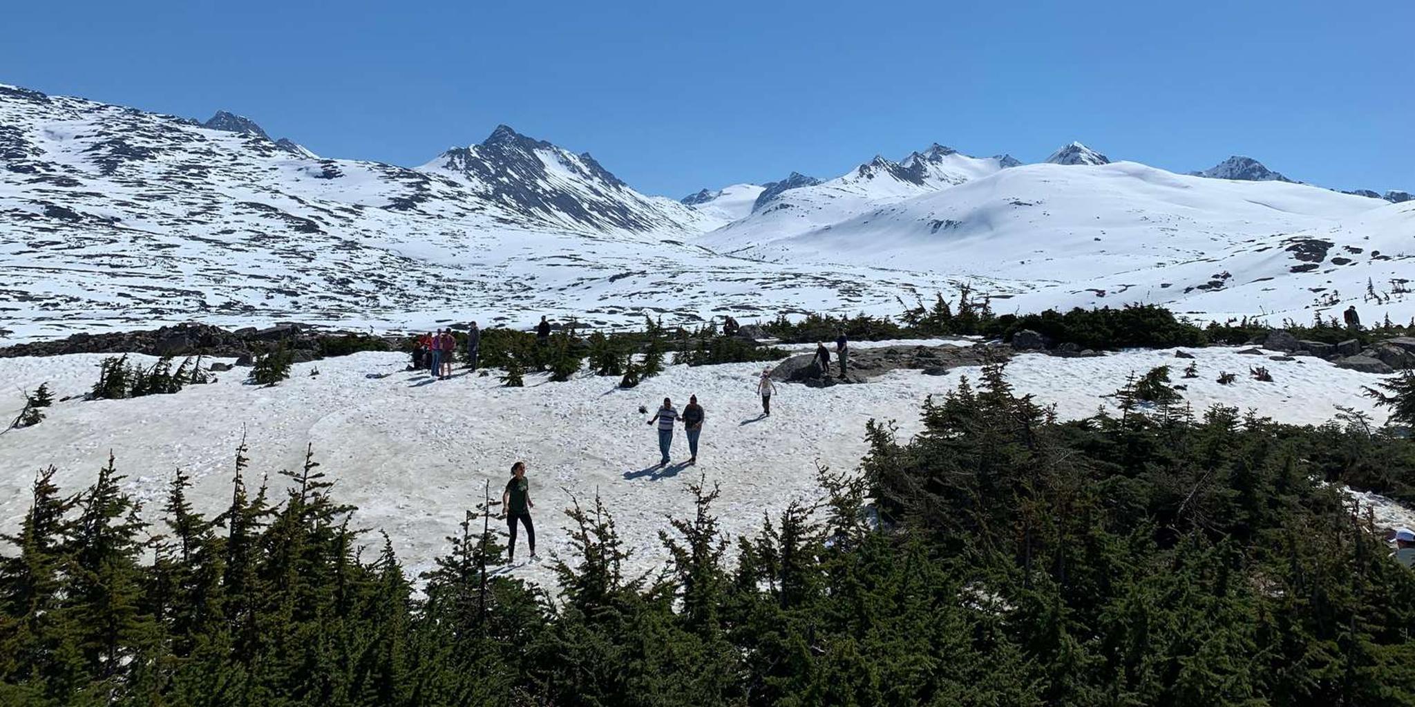 Skagway City and Mountain Summit Tour - Image 5