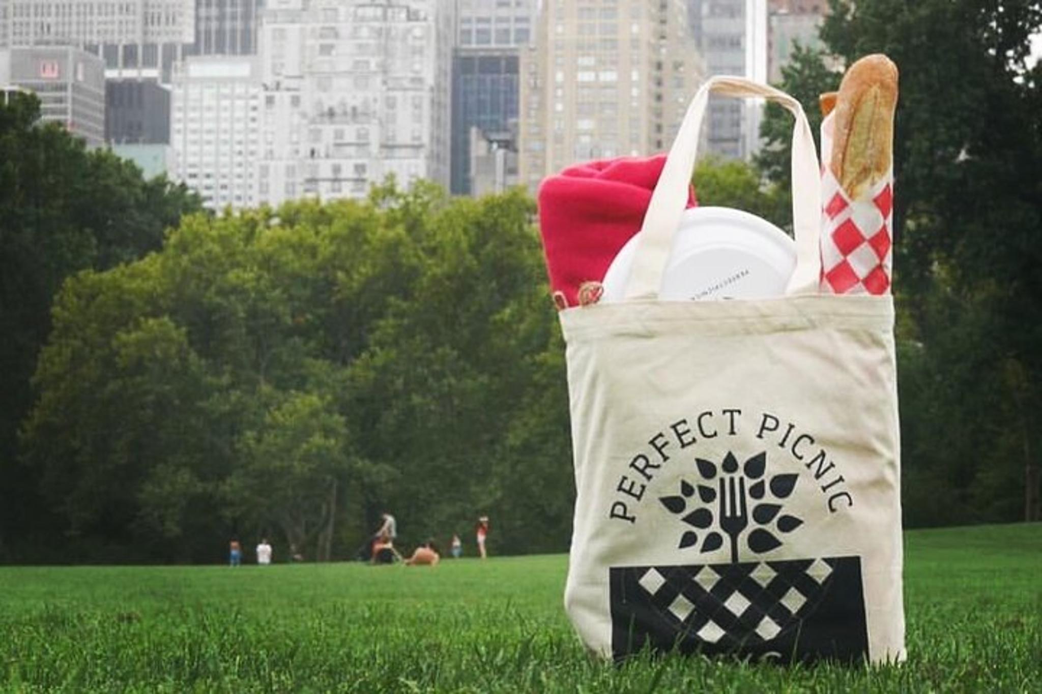 New York City Family Picnic for 4 - Image 1