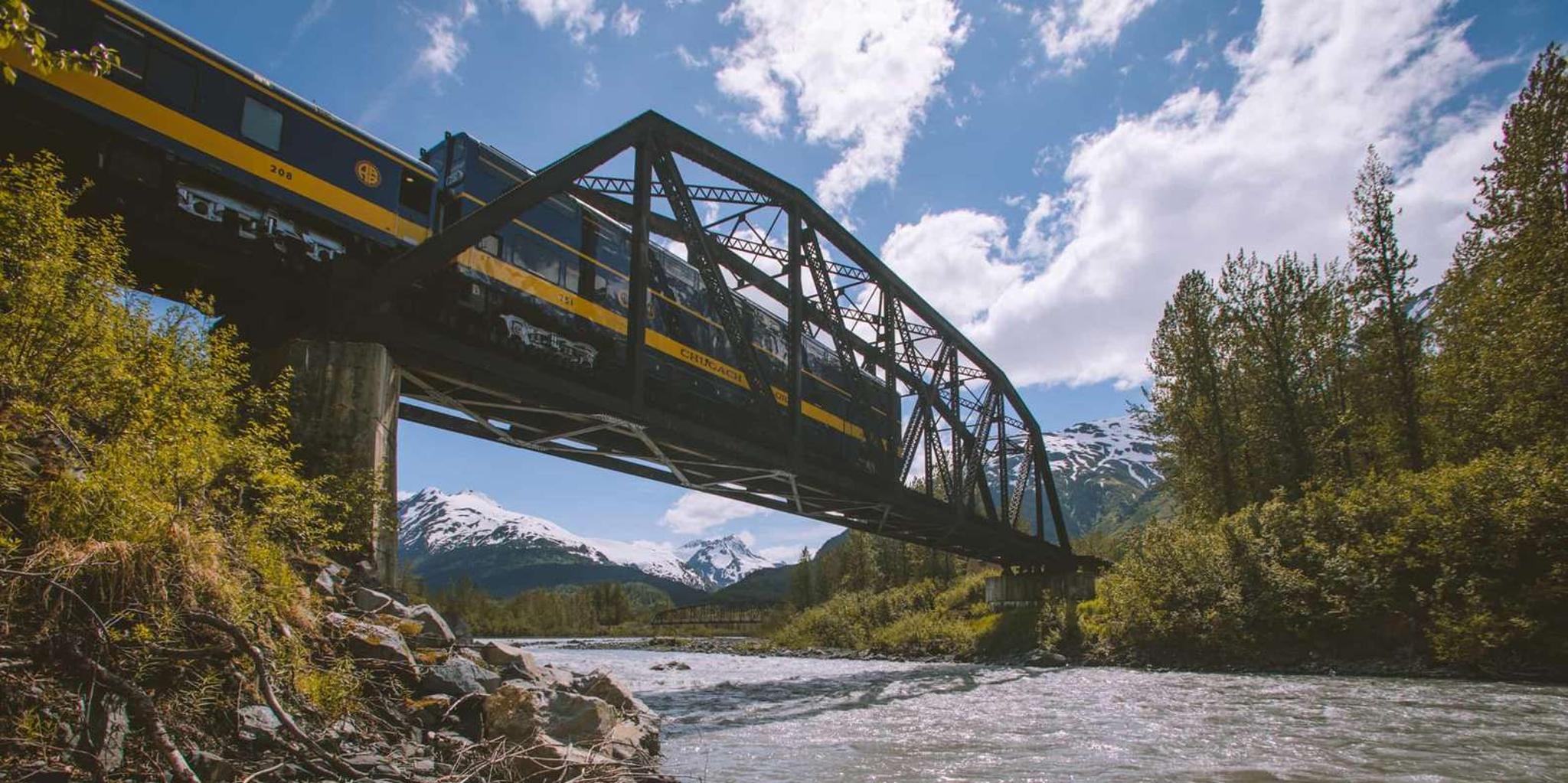 Girdwood Bears, Trains, and Icebergs Tour - Image 2