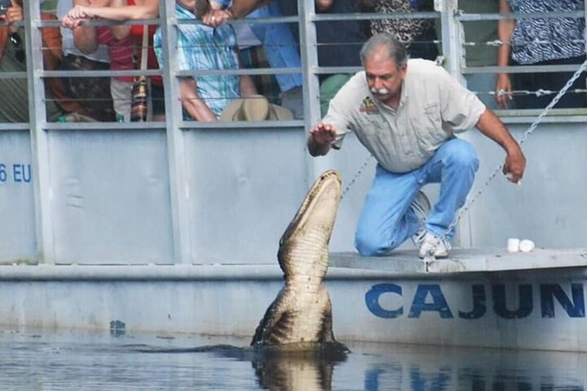 New Orleans Plantation and Swamp Tour - Image 5