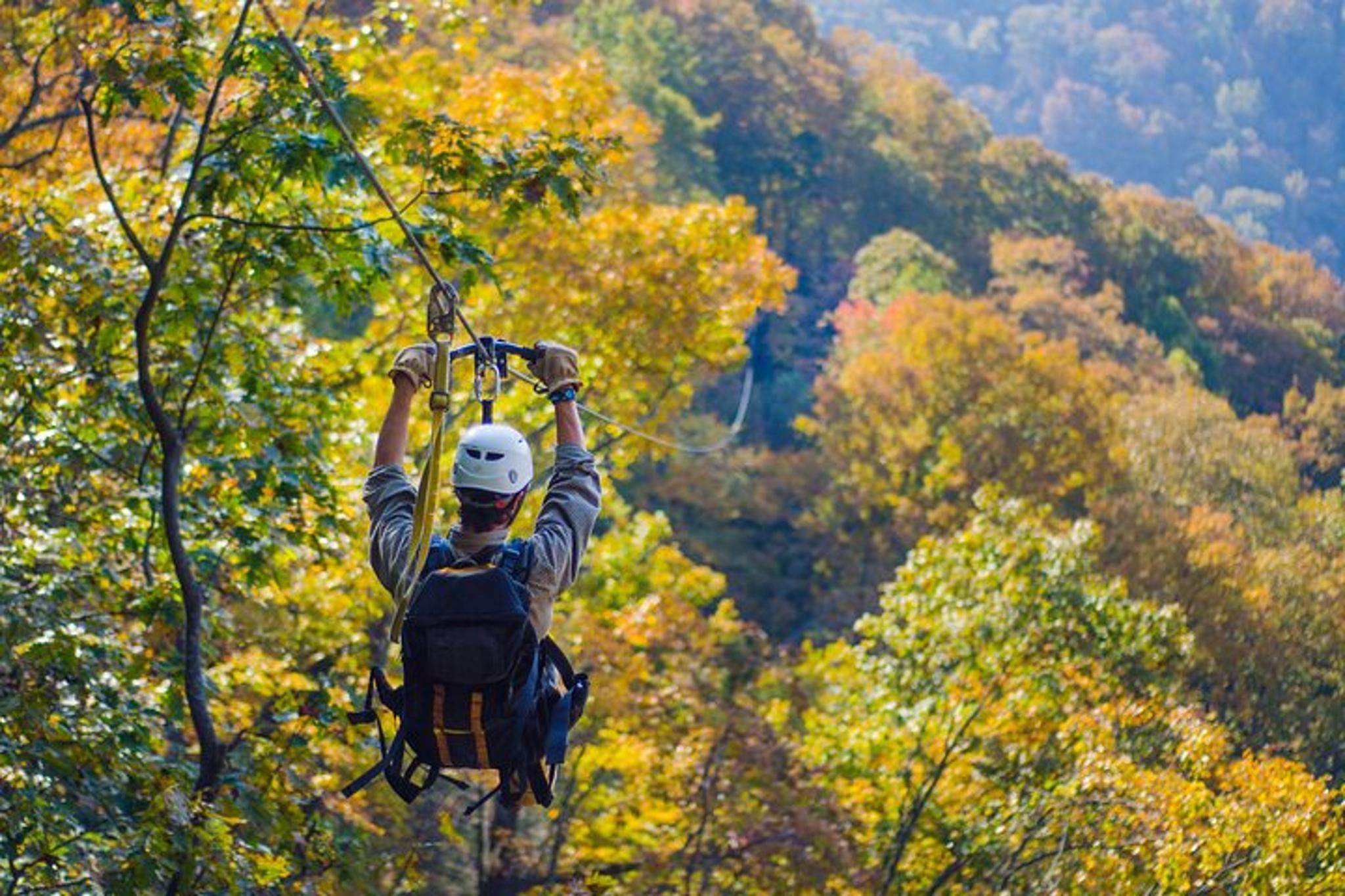 Saluda Zipline Canopy Tour - Image 2
