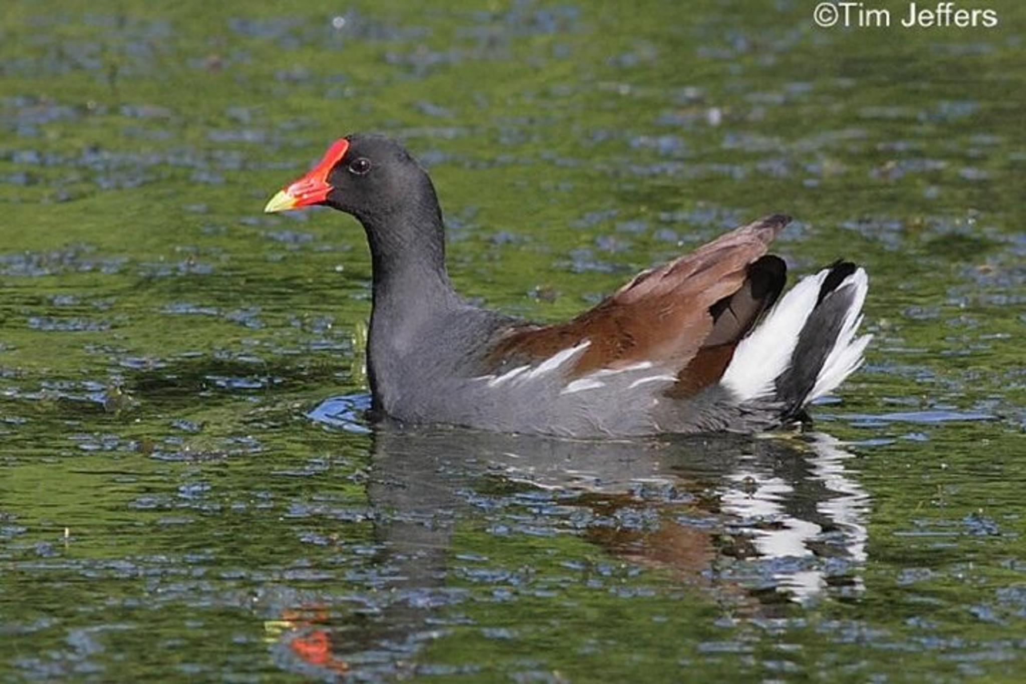 McIntosh Lakeshore Ecotour at Sunrise - Image 3