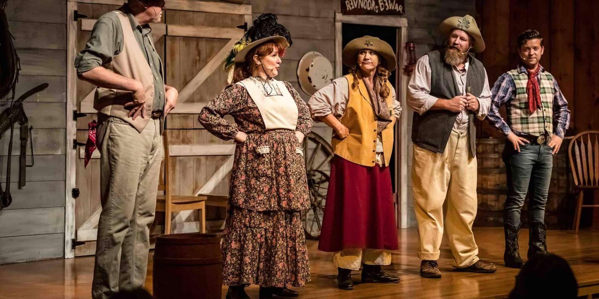 Branson WhoDunnit Hoedown Murder Mystery Dinner Show - Image 5