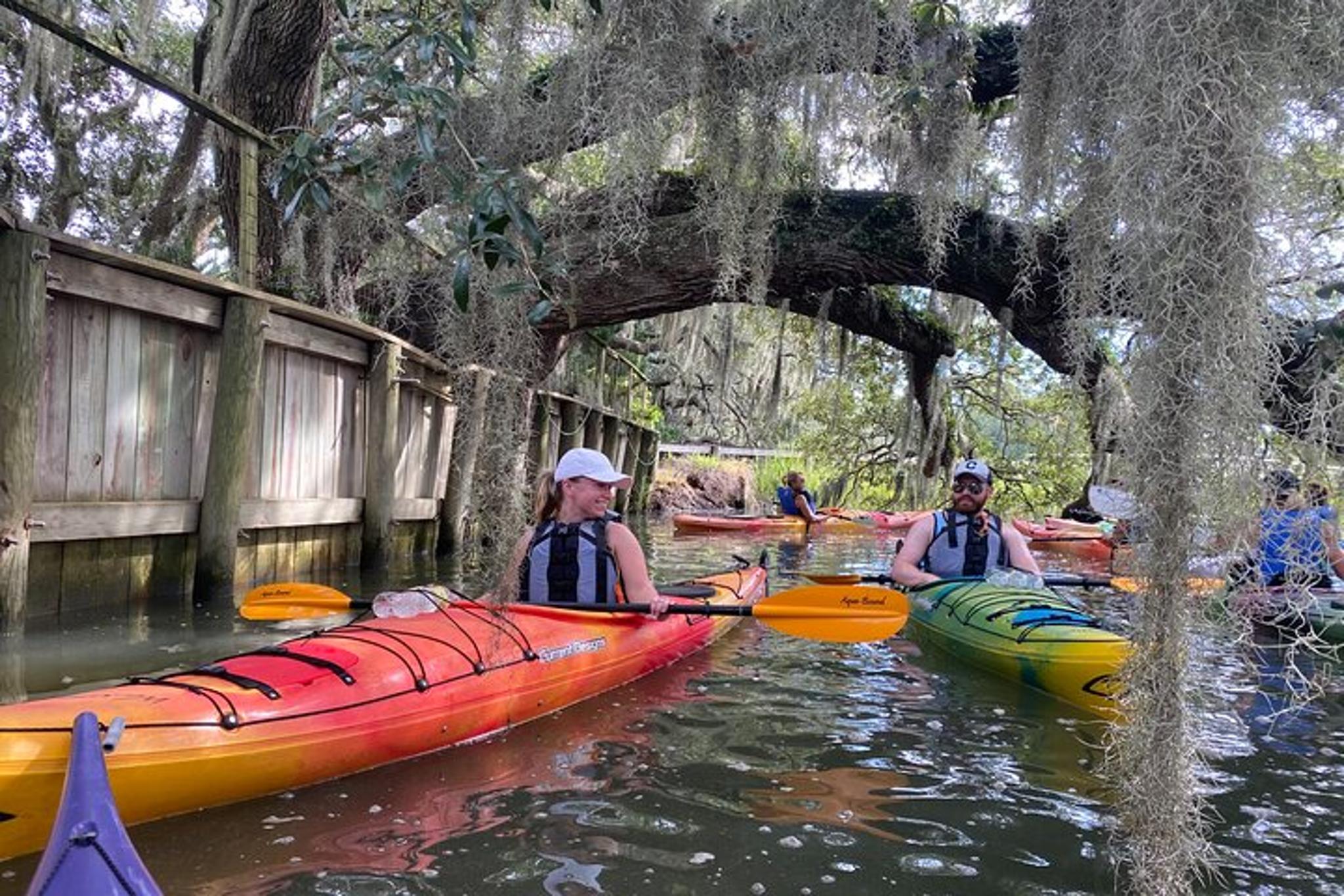 Charleston Kayak Tour with Dolphins in Shem Creek - Image 4