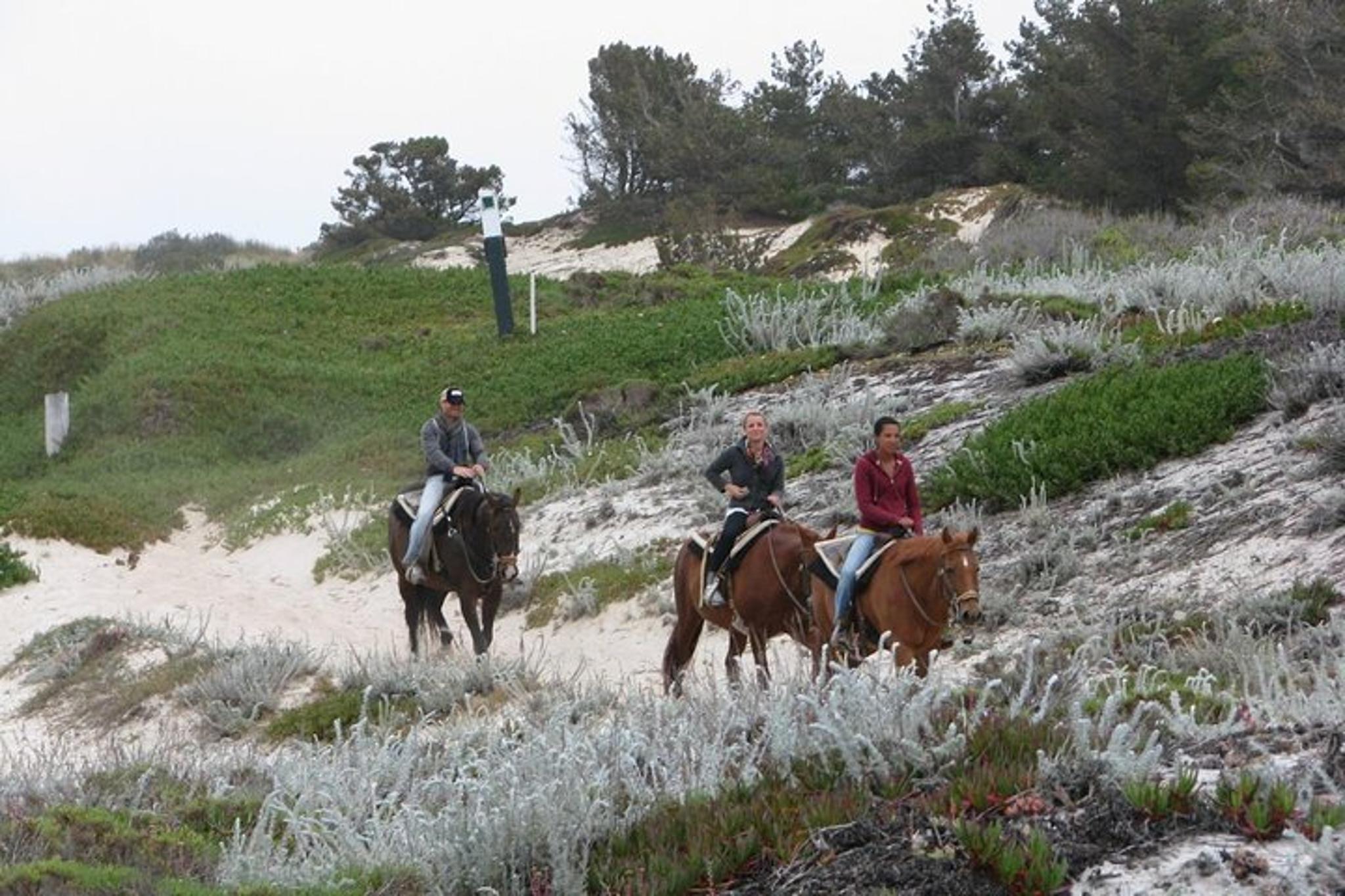 San Francisco Beach Horseback Ride & Alcatraz Tour - Image 6