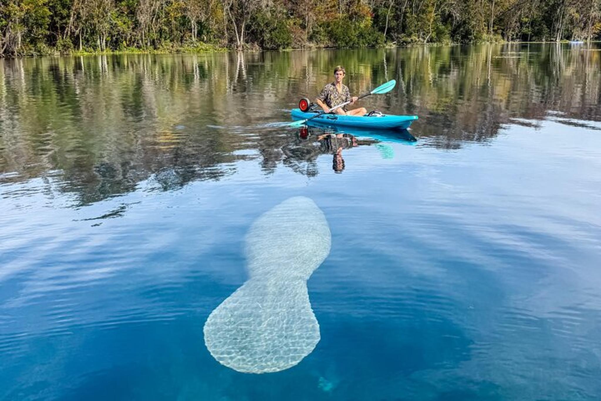 Silver Springs Glass Bottom Kayak Tour - Image 5