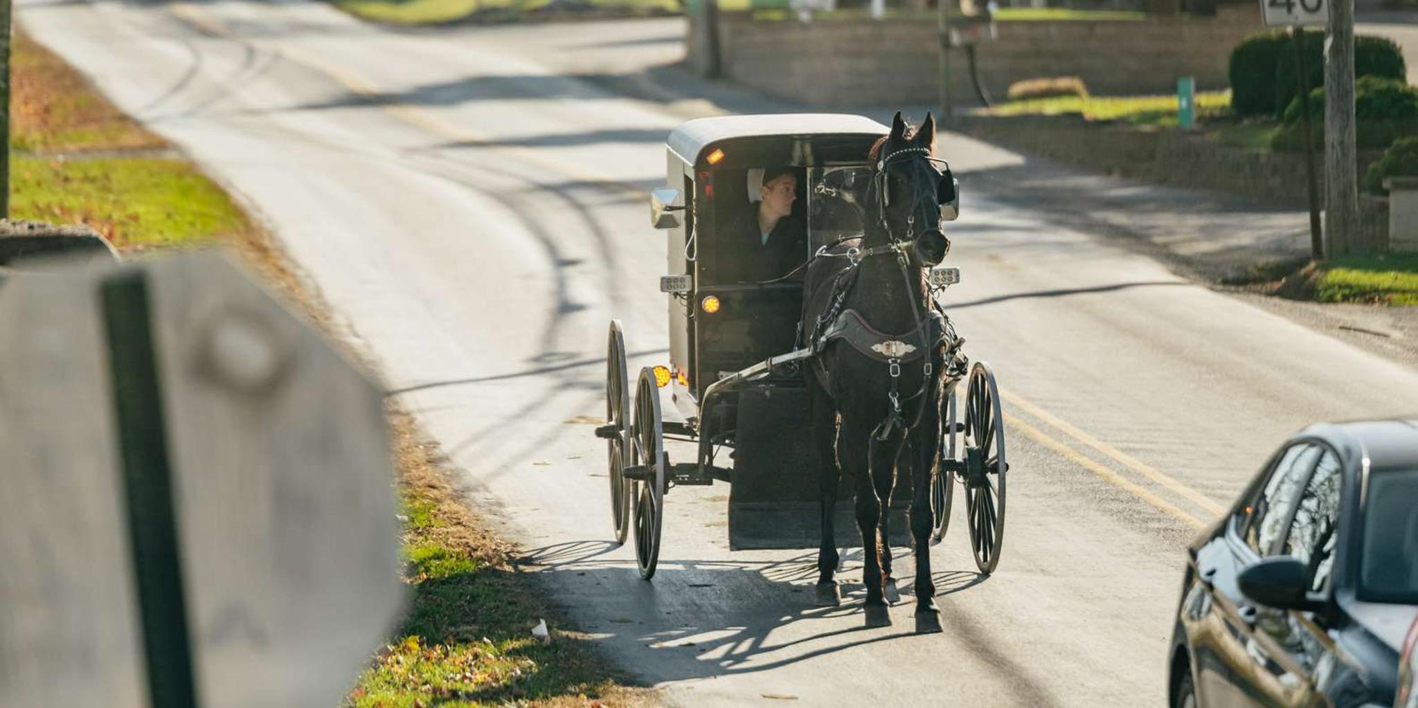 Lancaster Amish Experience Tour - Image 3