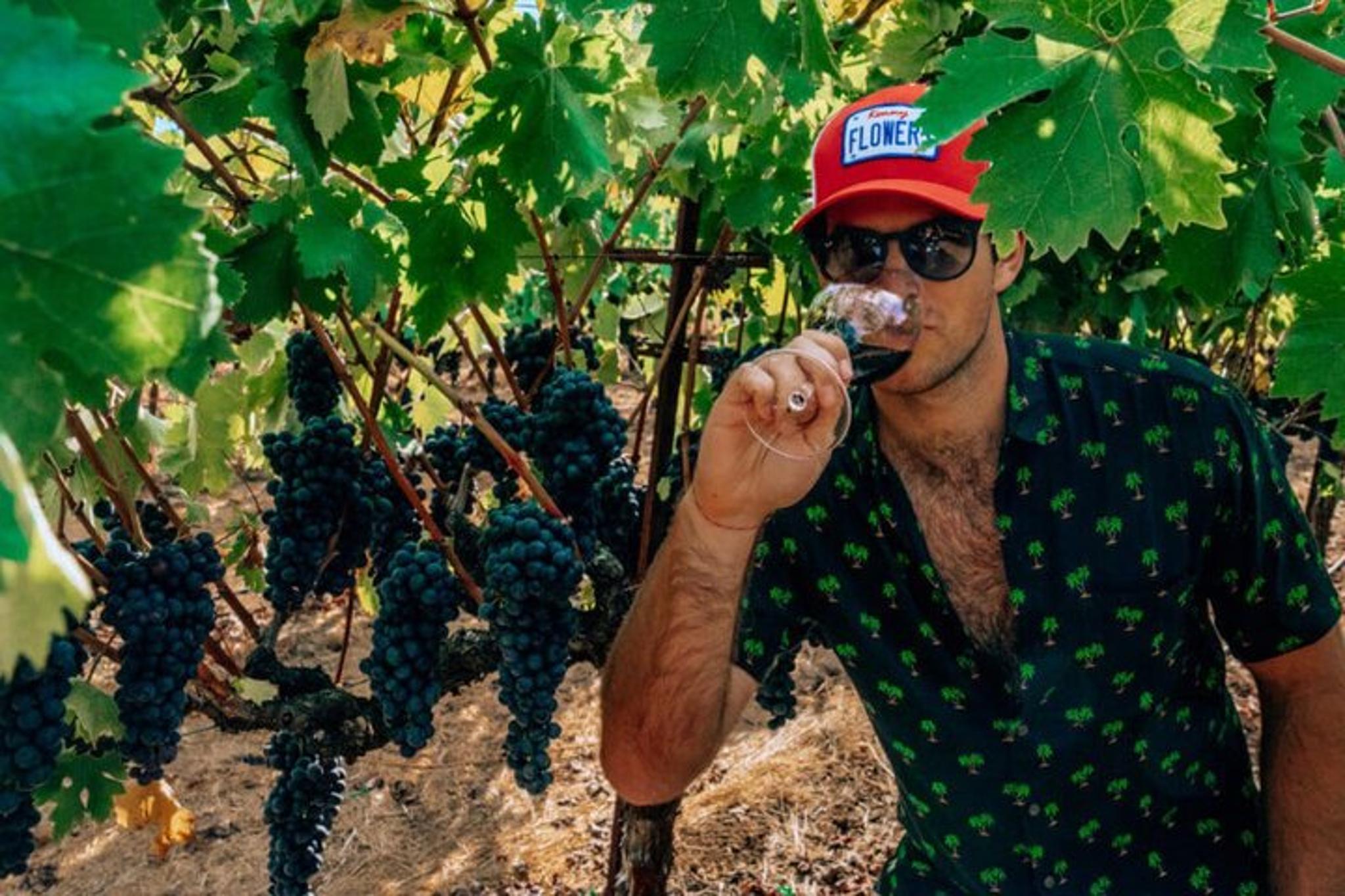 Napa Valley Wine Country Experience - Image 2