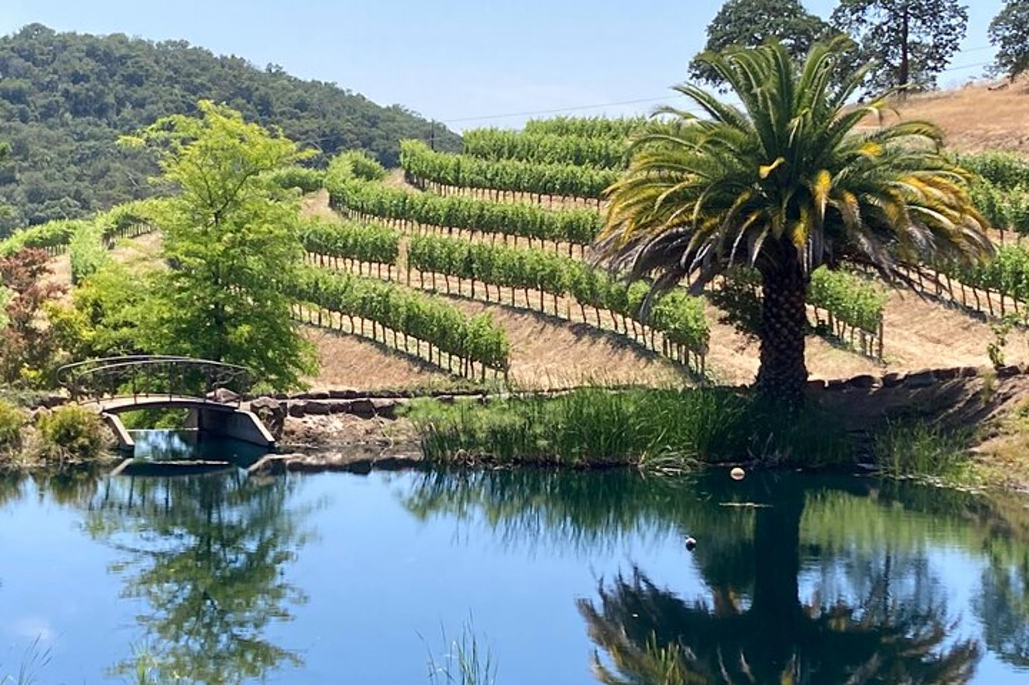 Napa & Sonoma Private Wine Tour - Image 4