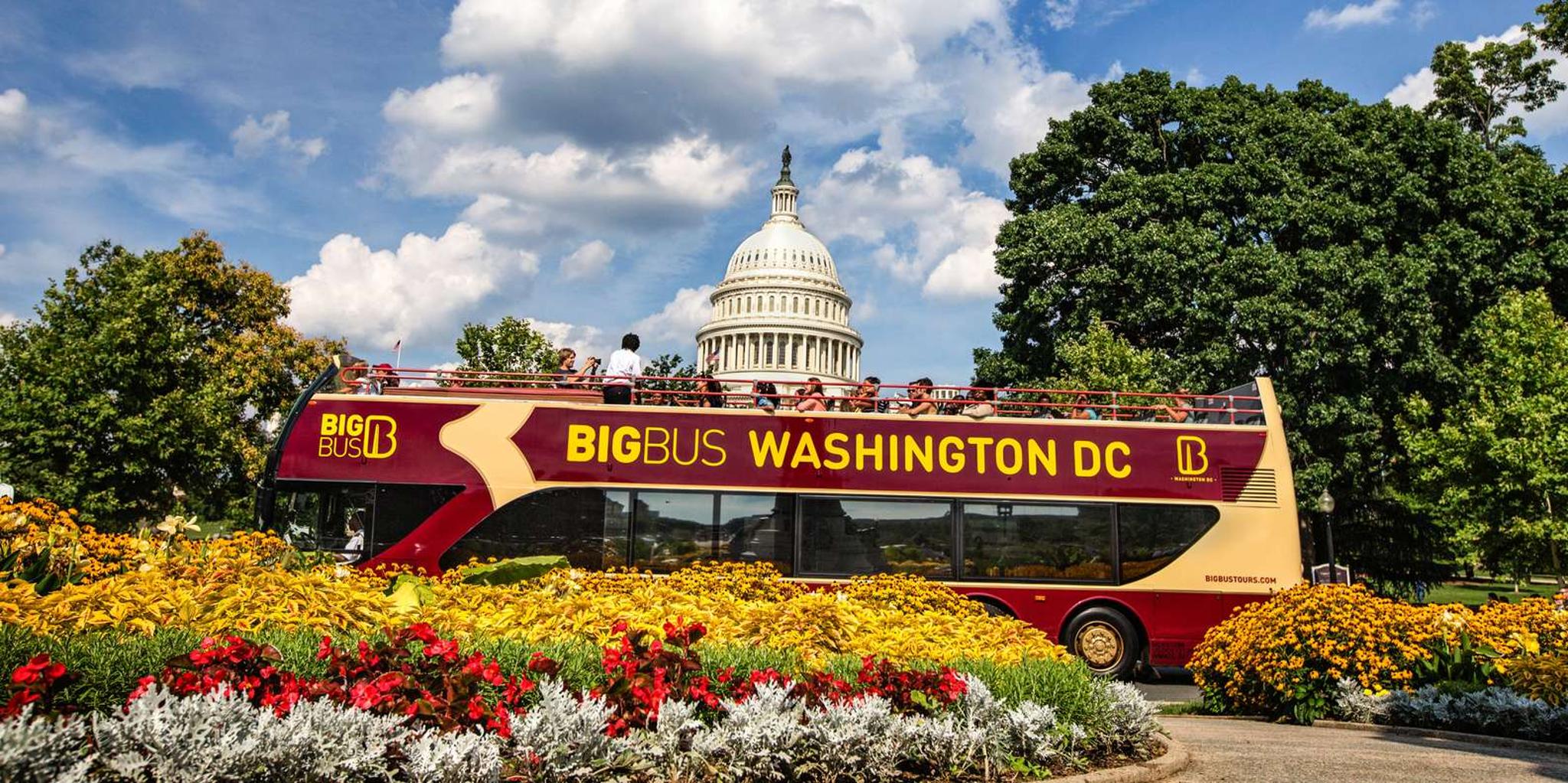 Washington DC Hop-on Hop-off Cherry Blossom Tour - Image 6