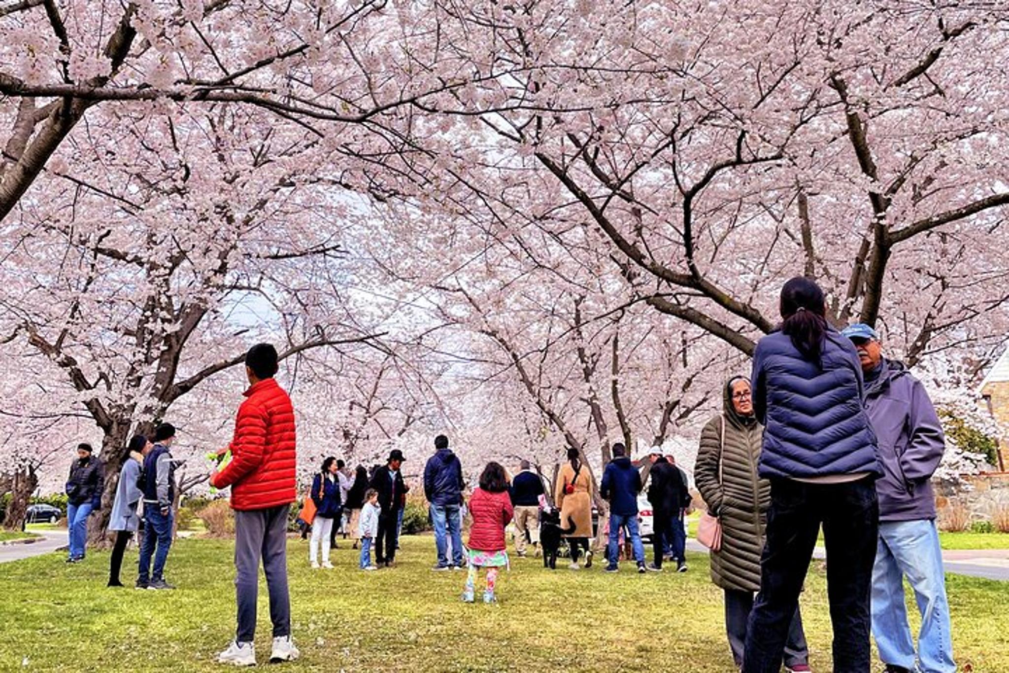Washington D.C. Day Trip from NYC - Image 4