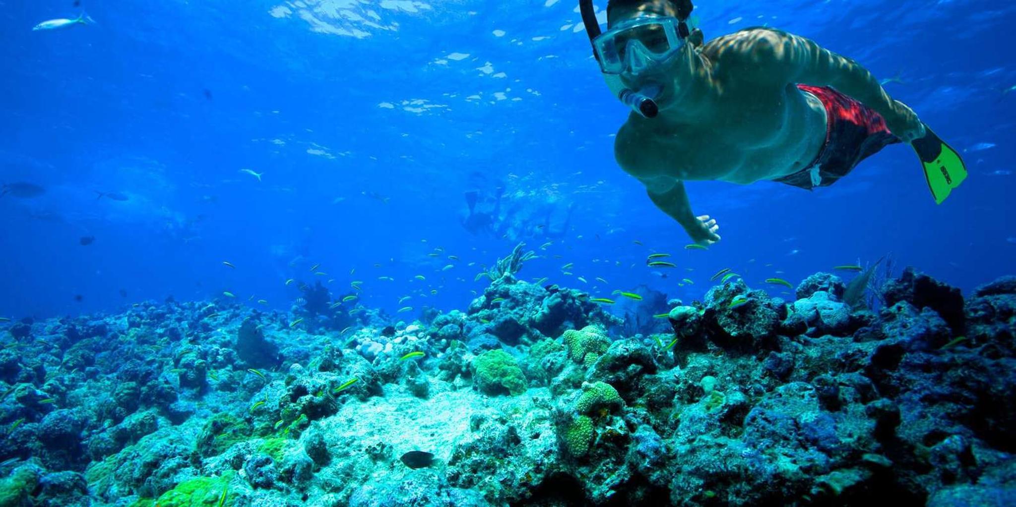 Florida Keys Kayak and Snorkel Adventure - Image 4