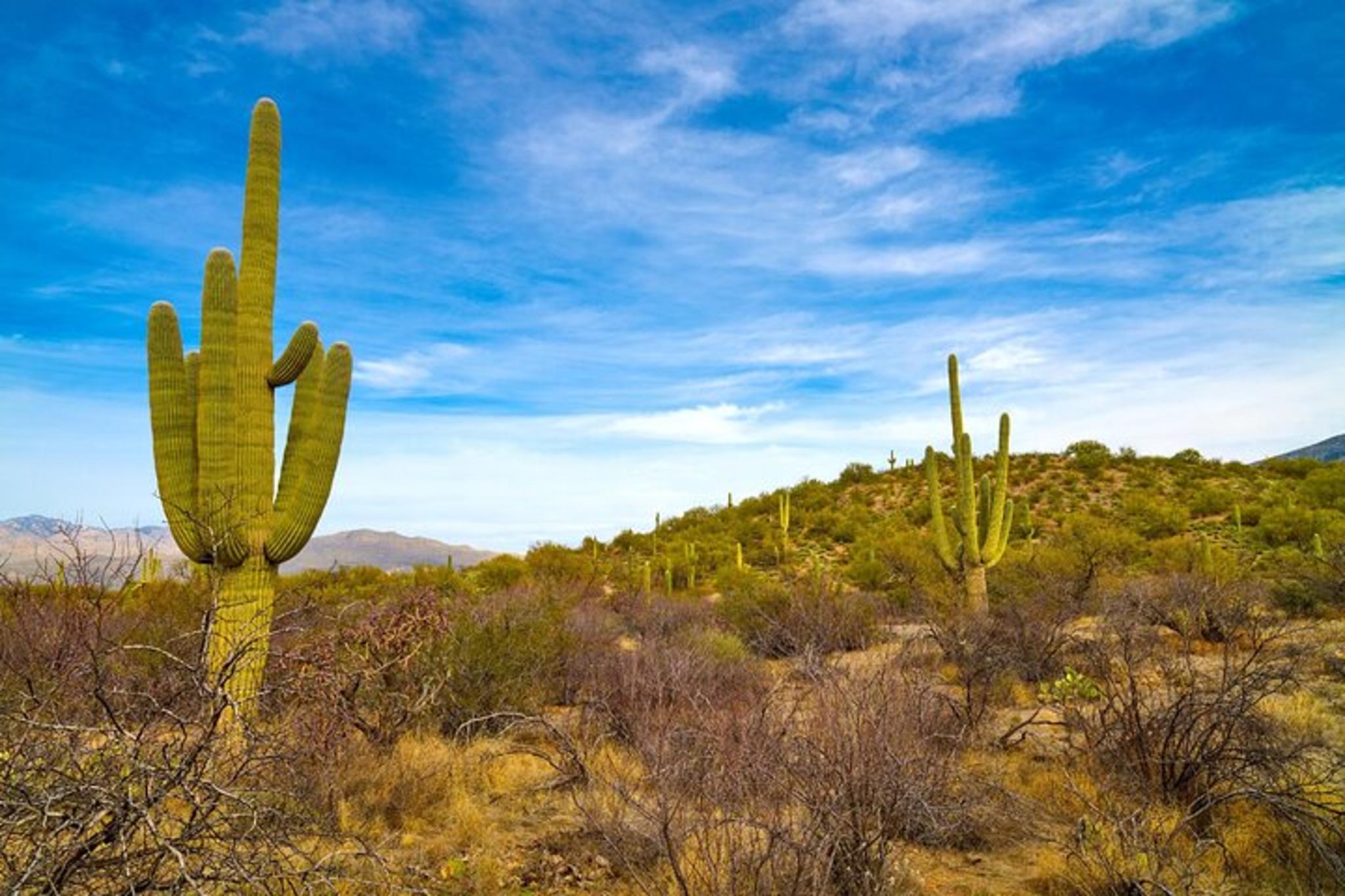 Tucson Self-Guided Driving Audio Tour Bundle